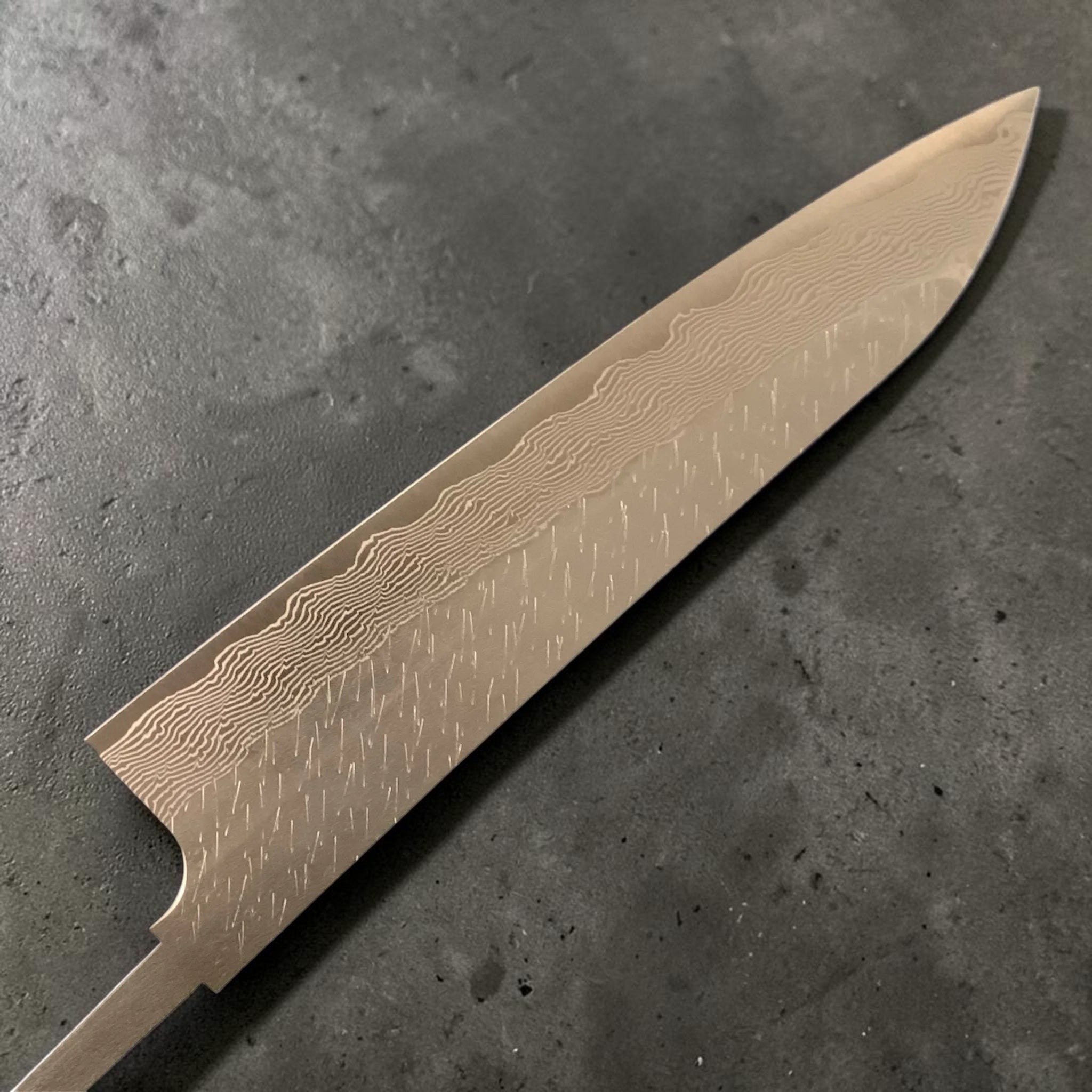 Nigara SG-STRIX Gyuto 240mm spine thickness close-up