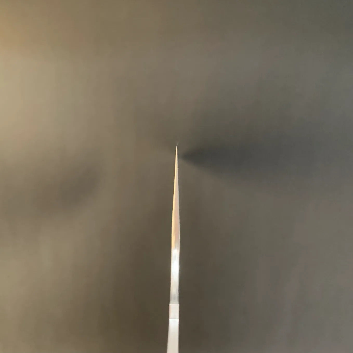 Nigara SG-STRIX Gyuto 240mm choil shot