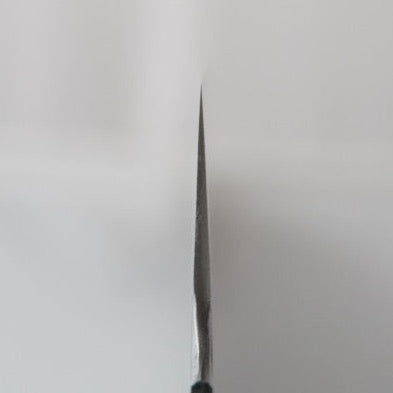 Sakai Kikumori 210mm Gyuto Choi Shot
