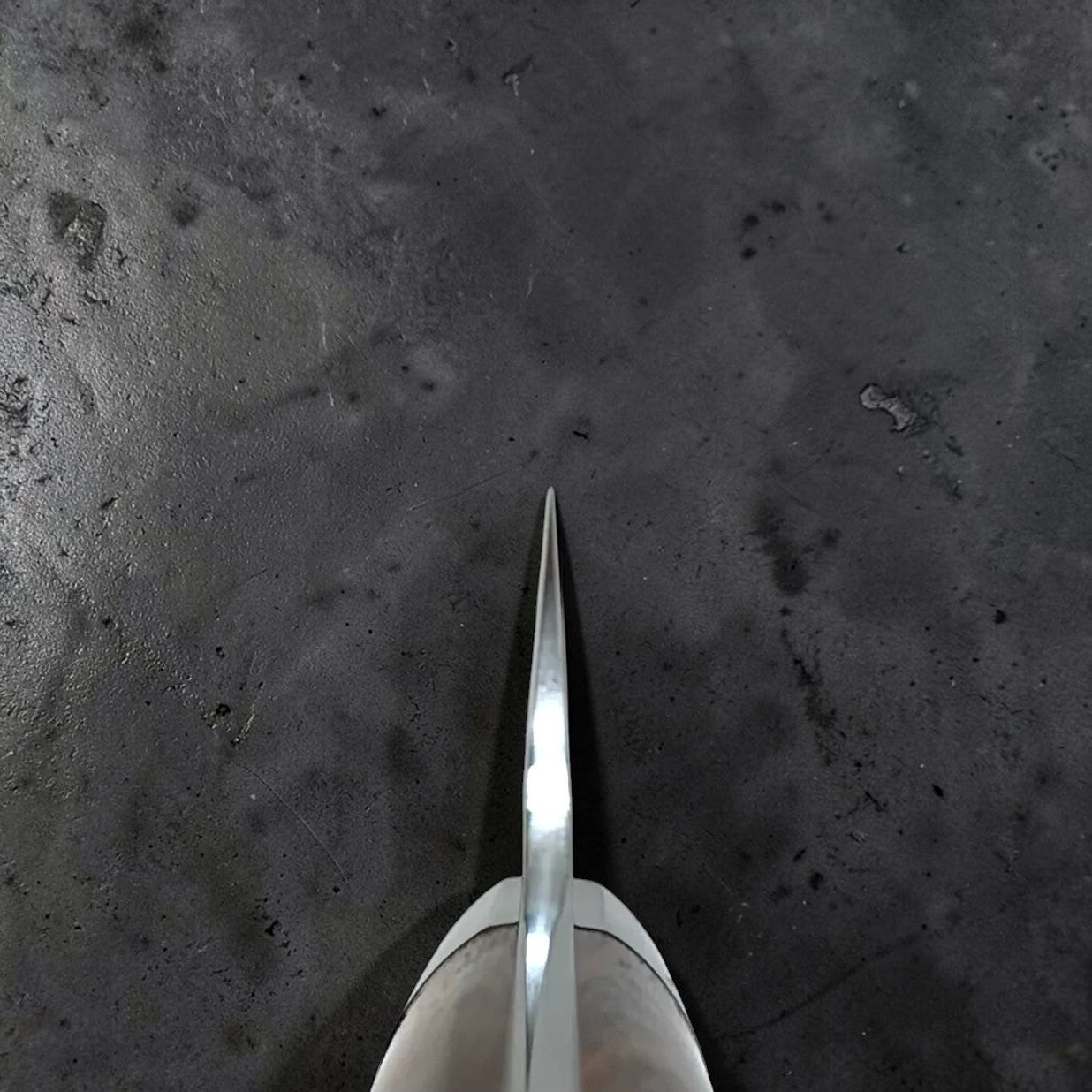 Takeshi Saji SRS-13 Petty 130mm Ironwood handle Choil Shot
