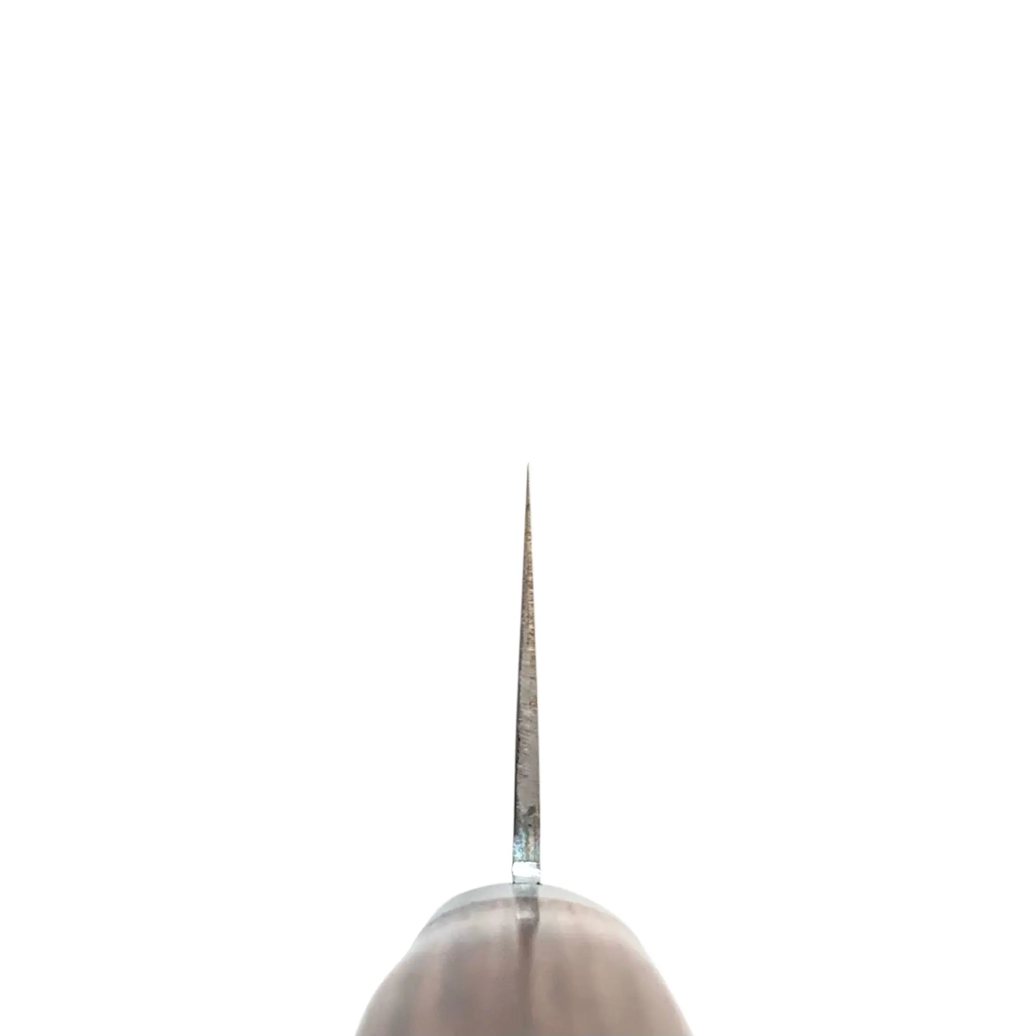 Tsunehisa VG-1 Gyuto spine thickness view