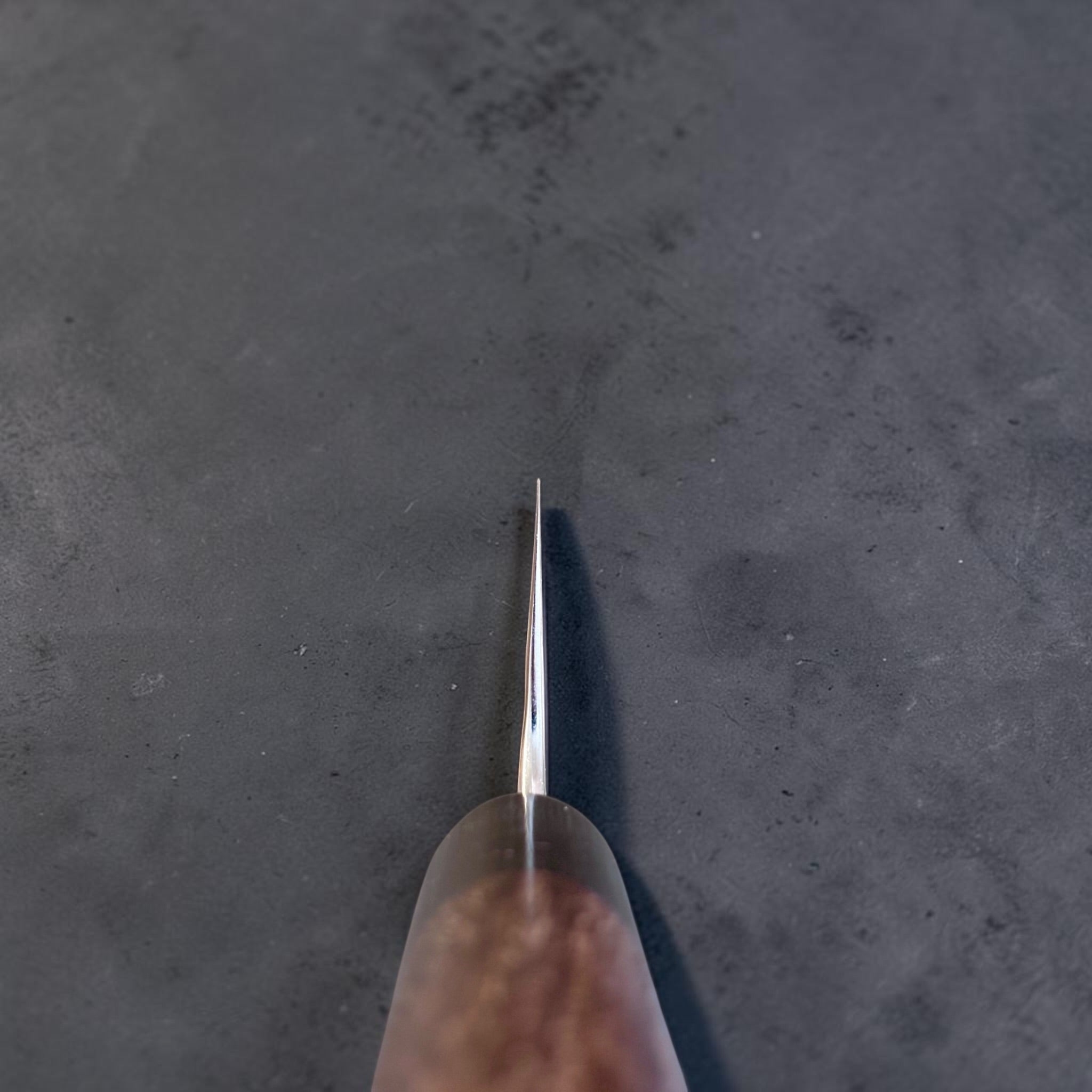 Spine and distal taper view of the Anryu Aogami #2 Tsuchime Santoku 165mm