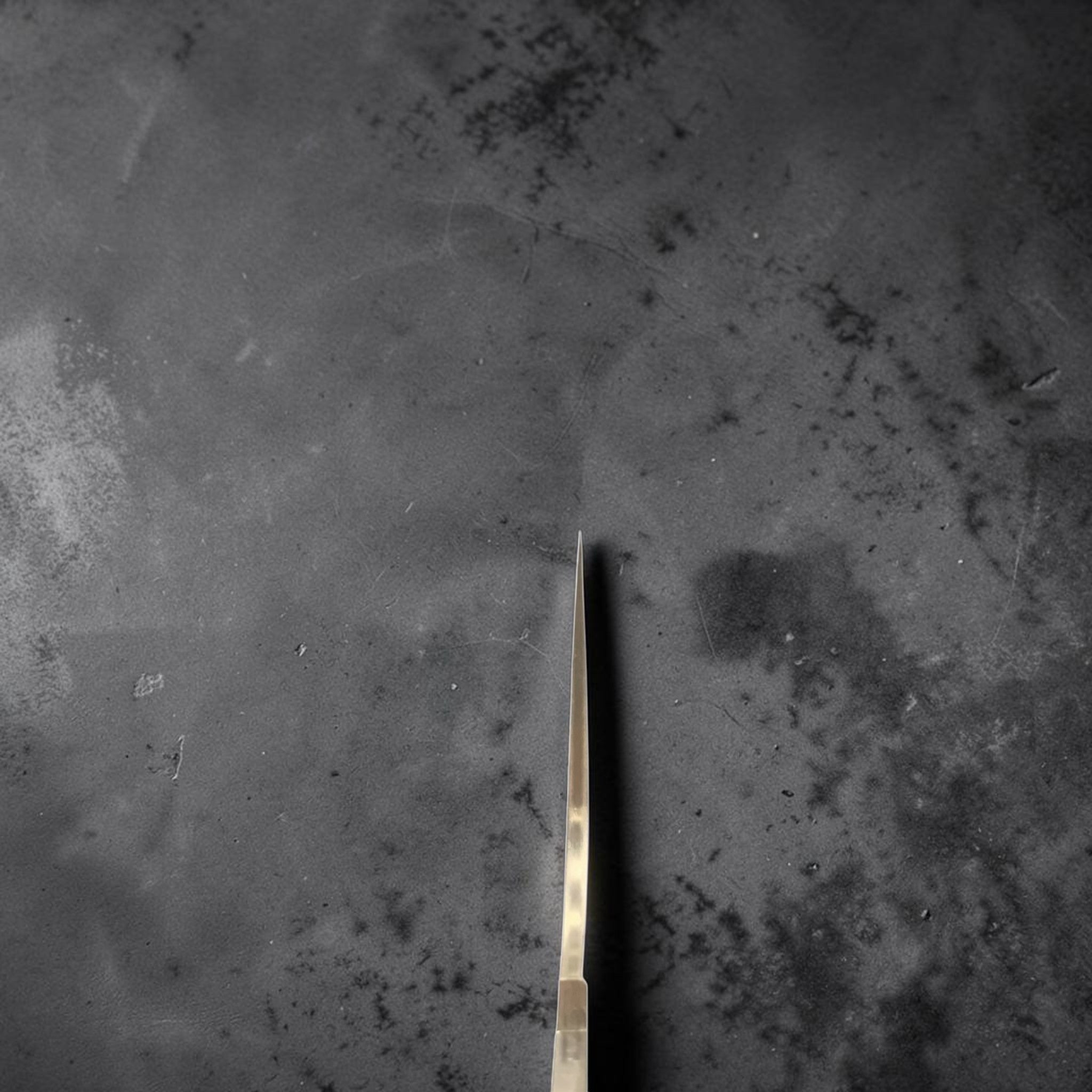 Daruma Hamono Ginsan #3 Gyuto 210 mm, showing masterful grind via the choil shot