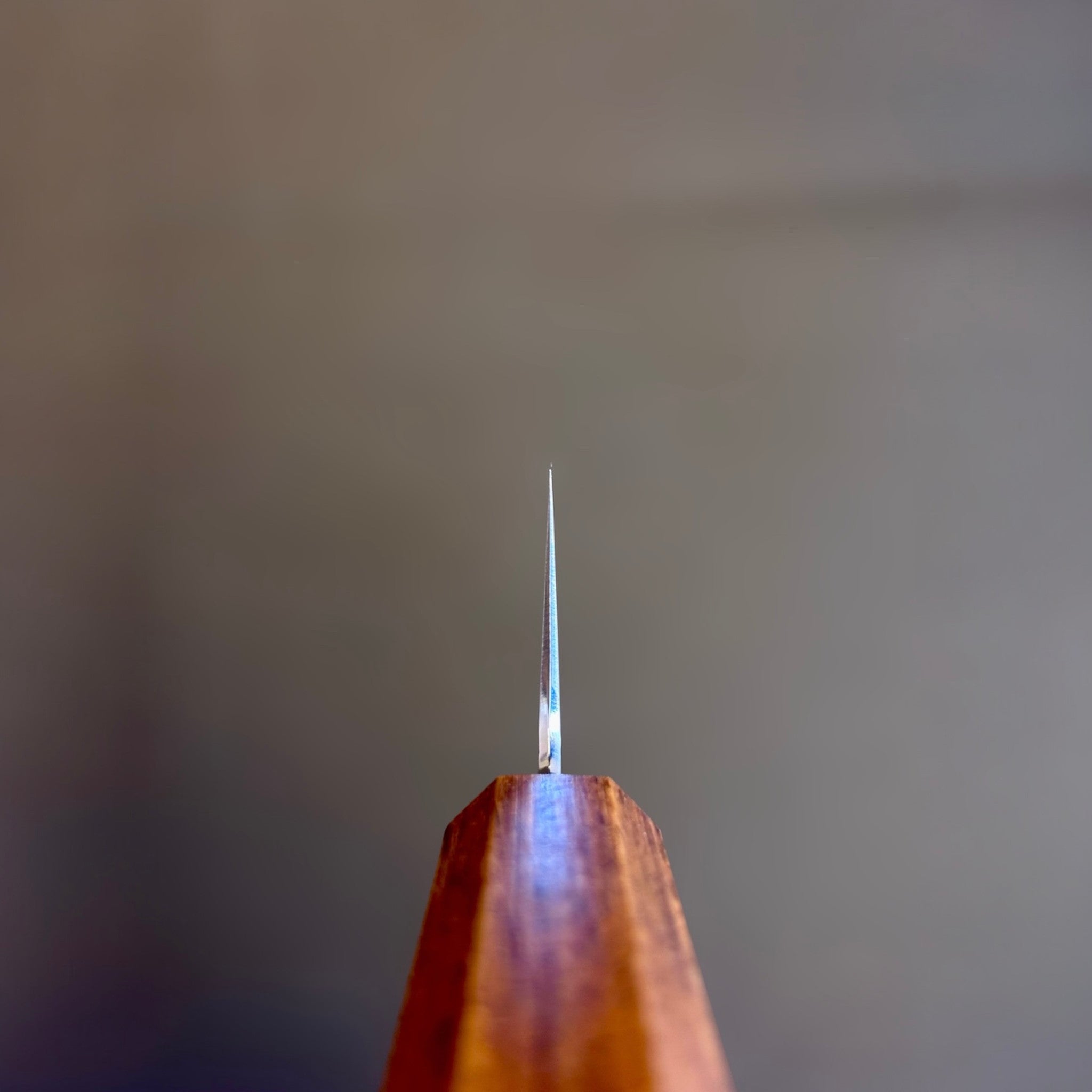 Hado SG2 Shiosai Urushi Bunka choil shot.