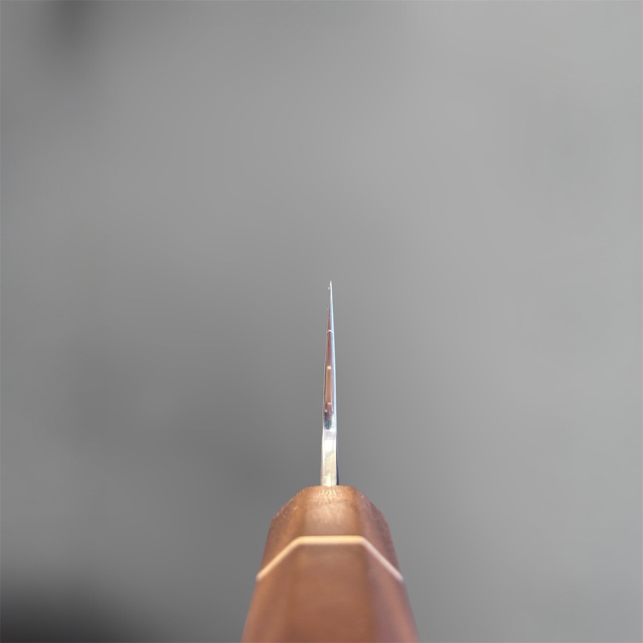 Hatsukokoro Ginga ATS-34 Nickel Damascus Gyuto 210 mm with Sanjo walnut handle and maple stripe, close-up choil shot showing blade geometry and spine taper.