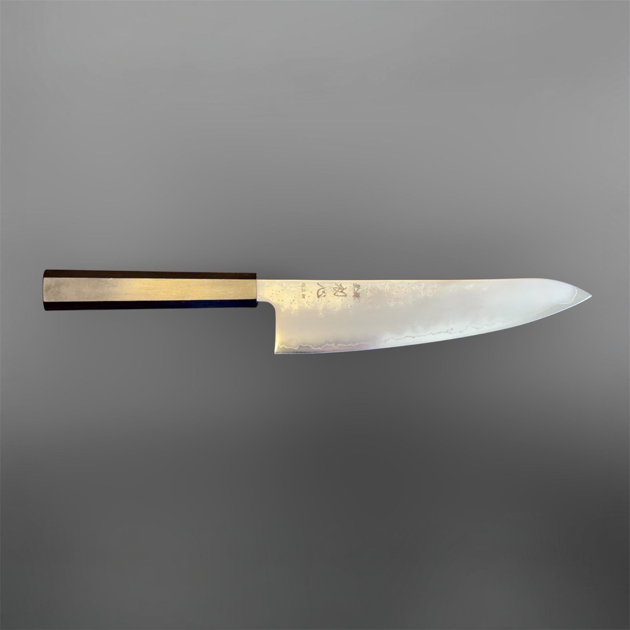 Hatsukokoro Ginrei Silver #3 Gyuto 210 mm with mono ebony handle, horizontal full profile view.