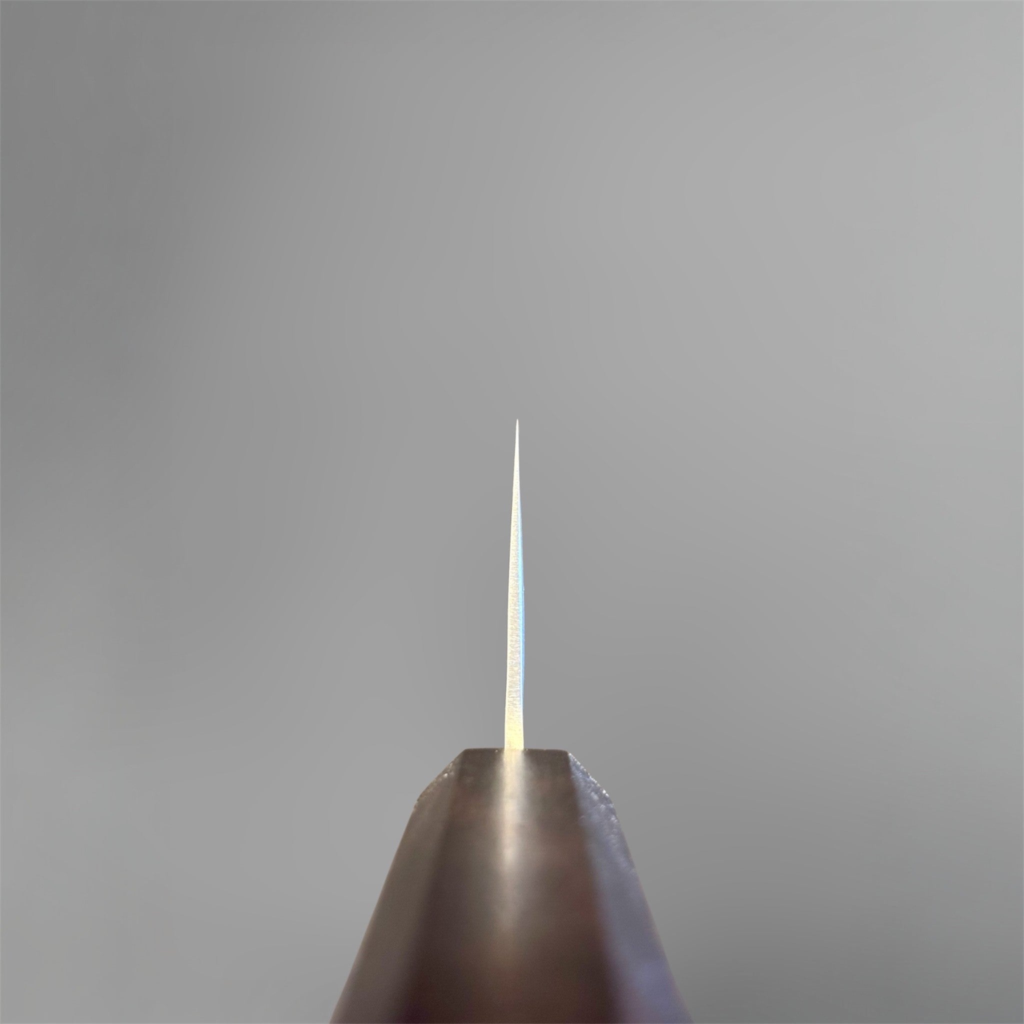 Hatsukokoro Ginrei Silver #3 Nakiri with mono ebony handle, choil view showing thin blade geometry.