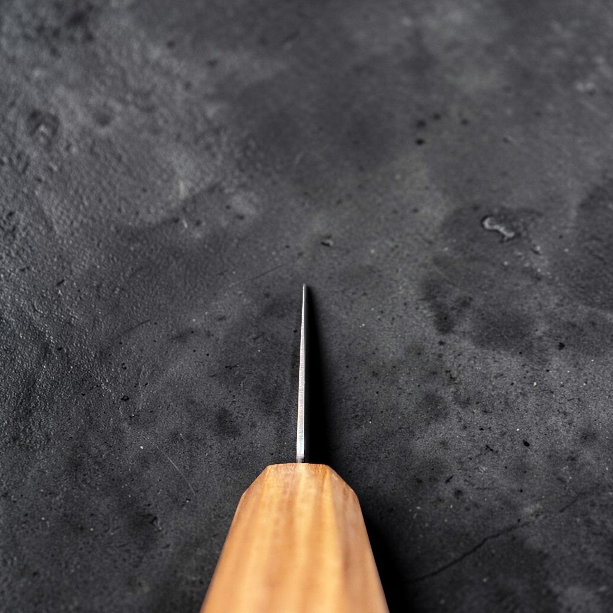 Hatsukokoro Kaijin Blue #2 Gyuto 210 mm with mono olive wood handle, choil view showing blade geometry.