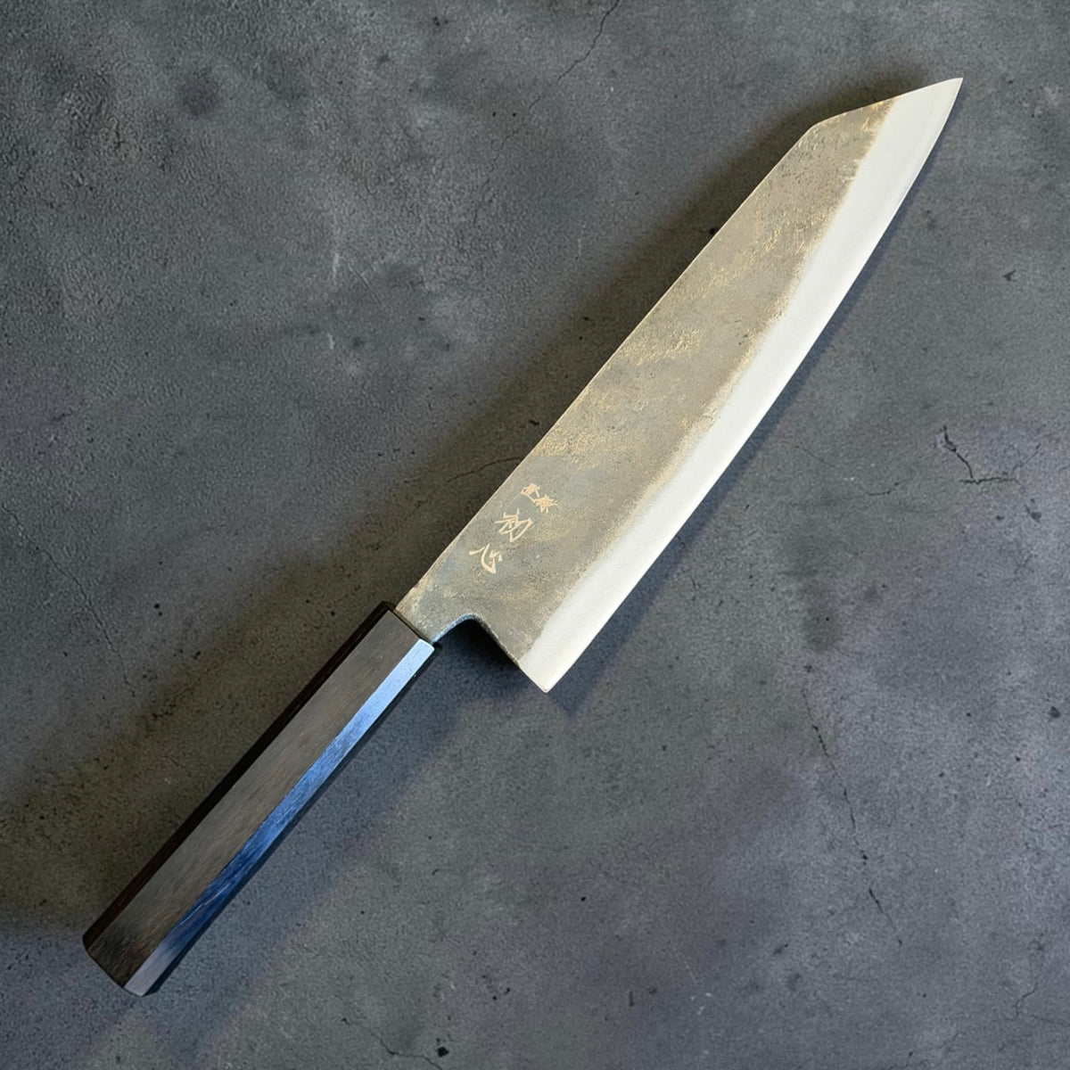 Hatsukokoro Kurogane Blue #2 Kiritsuke Gyuto 210mm with mono ebony handle, angled front view