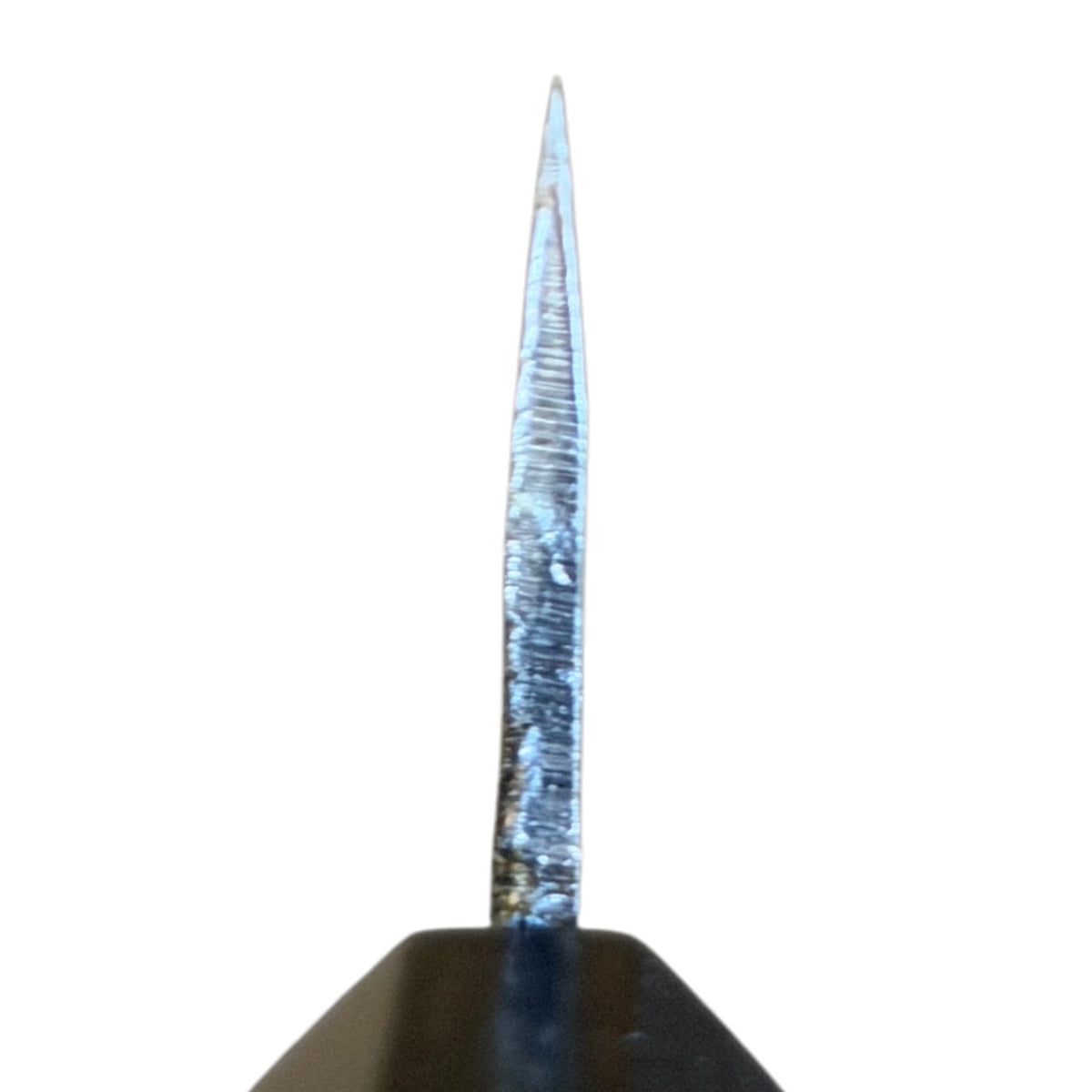 Choil view of the Hatsukokoro Kurogane Blue #2 Kurouchi Ko-Bunka 80mm with ebony handle, showing the blade cross-section and grind.