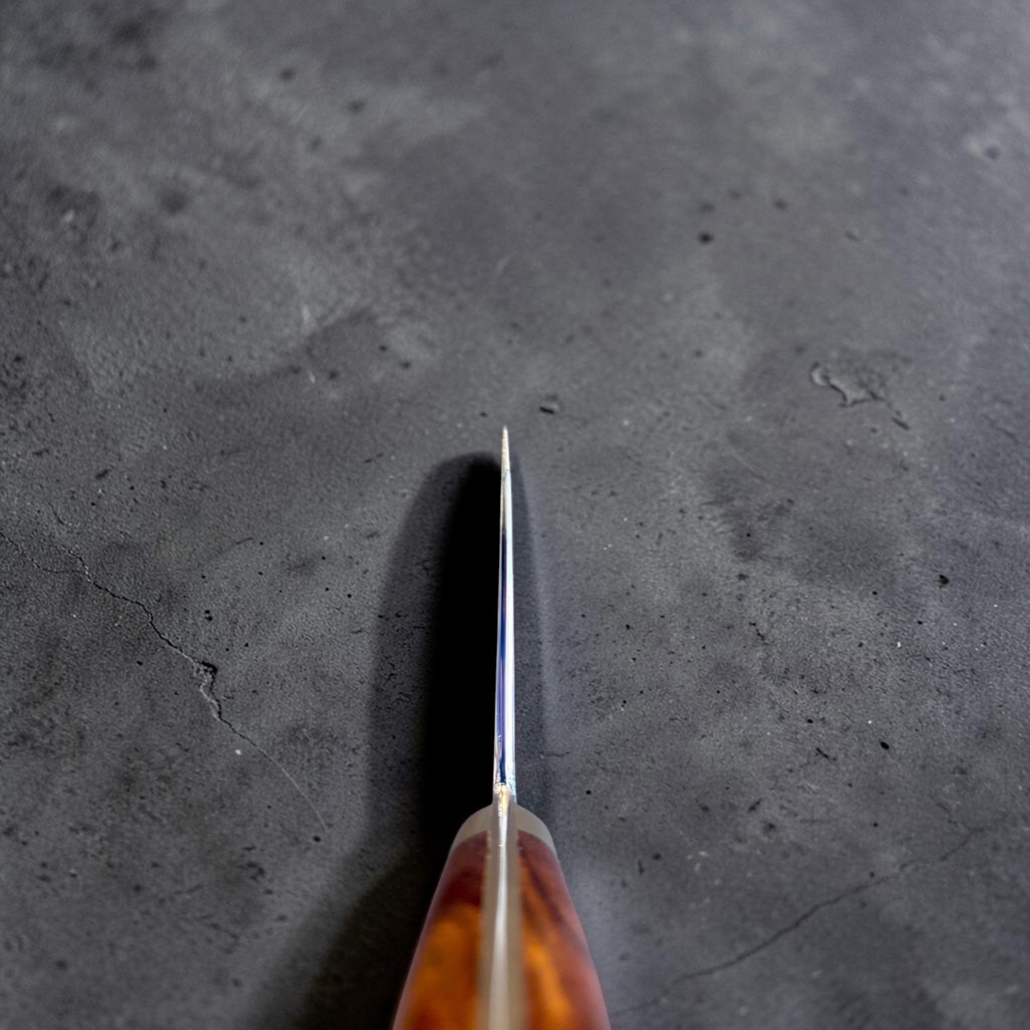Hatsukokoro Nakagawa Satoshi Silver #3 Chinese Cleaver with ironwood handle, spine view showing the thin grind and handle alignment.