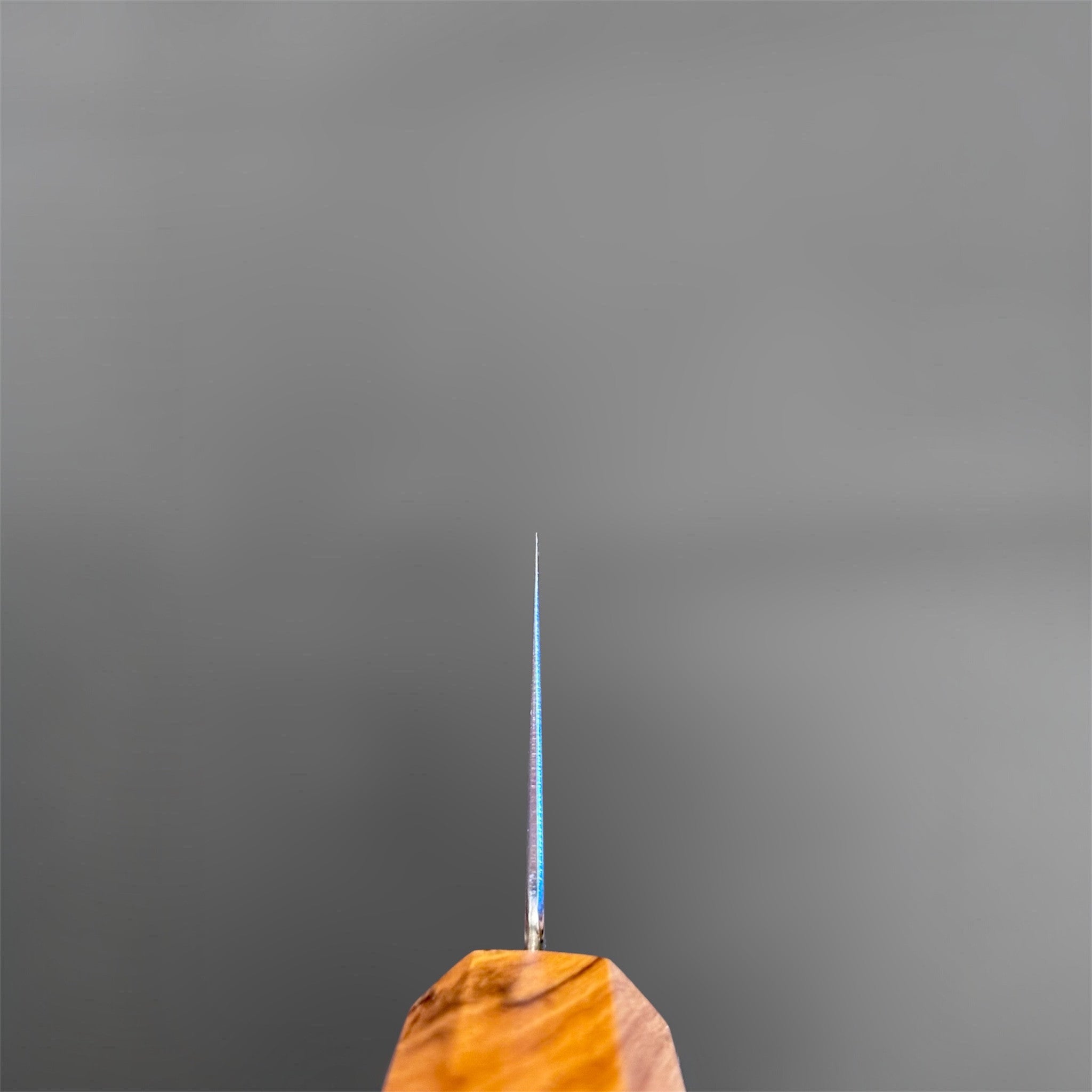 Hatsukokoro Saihyo SG2 Damascus Bunka 180 mm with olivewood handle, spine view showing blade thinness and distal taper.