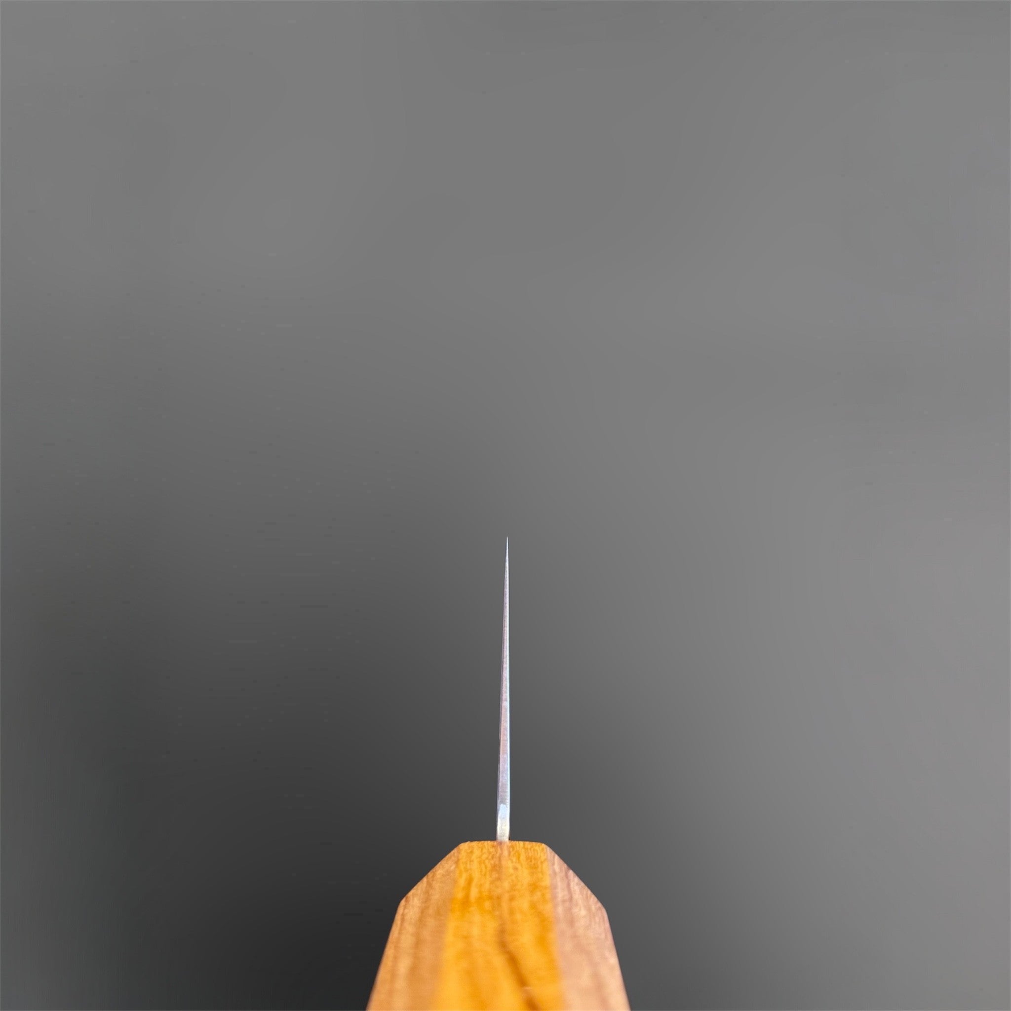 Hatsukokoro Saihyo SG2 Damascus Kiritsuke 240mm with Mono Olive Wood Handle, choil view showing the blade grind, spine thickness, and olive wood handle shape.