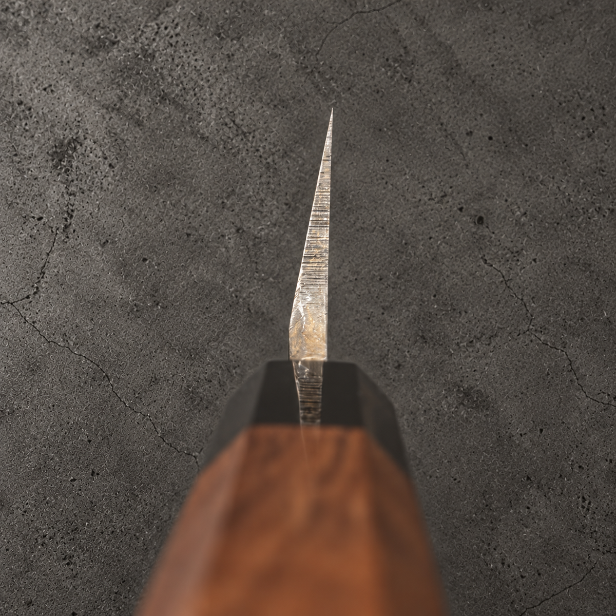 Hatsukokoro Shirasagi 210mm gyuto, choil view showing asymmetric single bevel