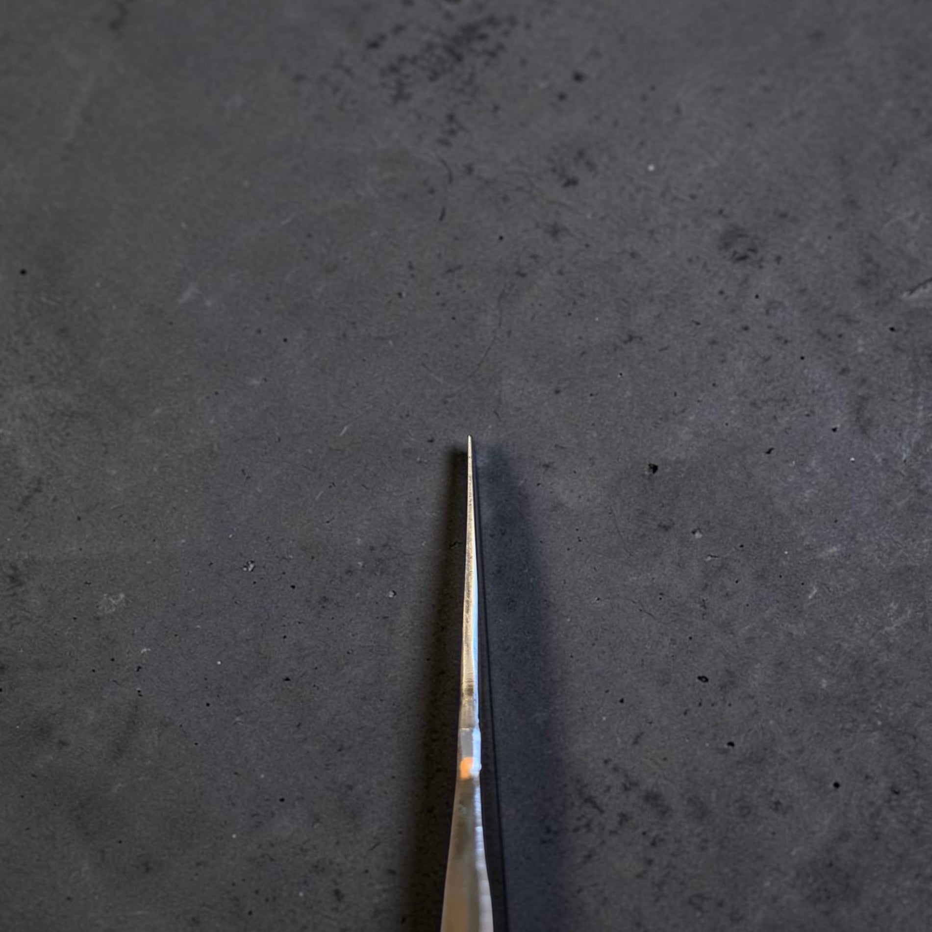 Isamitsu Aogami Super gyuto 240mm thin choil and grind view