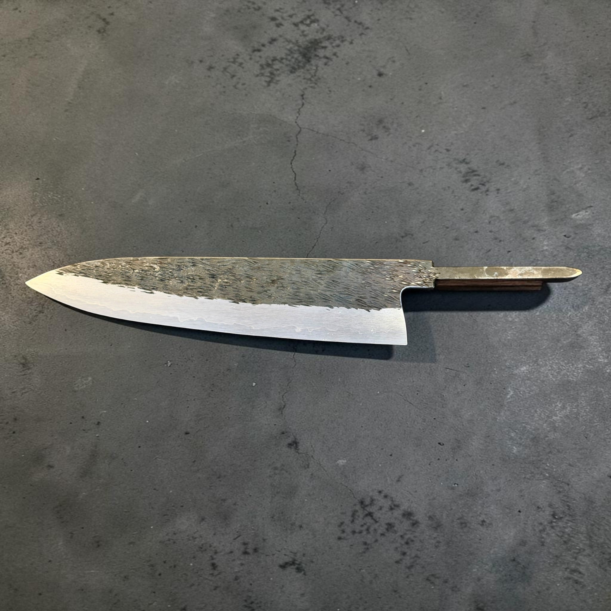 Isamitsu stainless-clad Aogami Super gyuto 240mm reverse profile