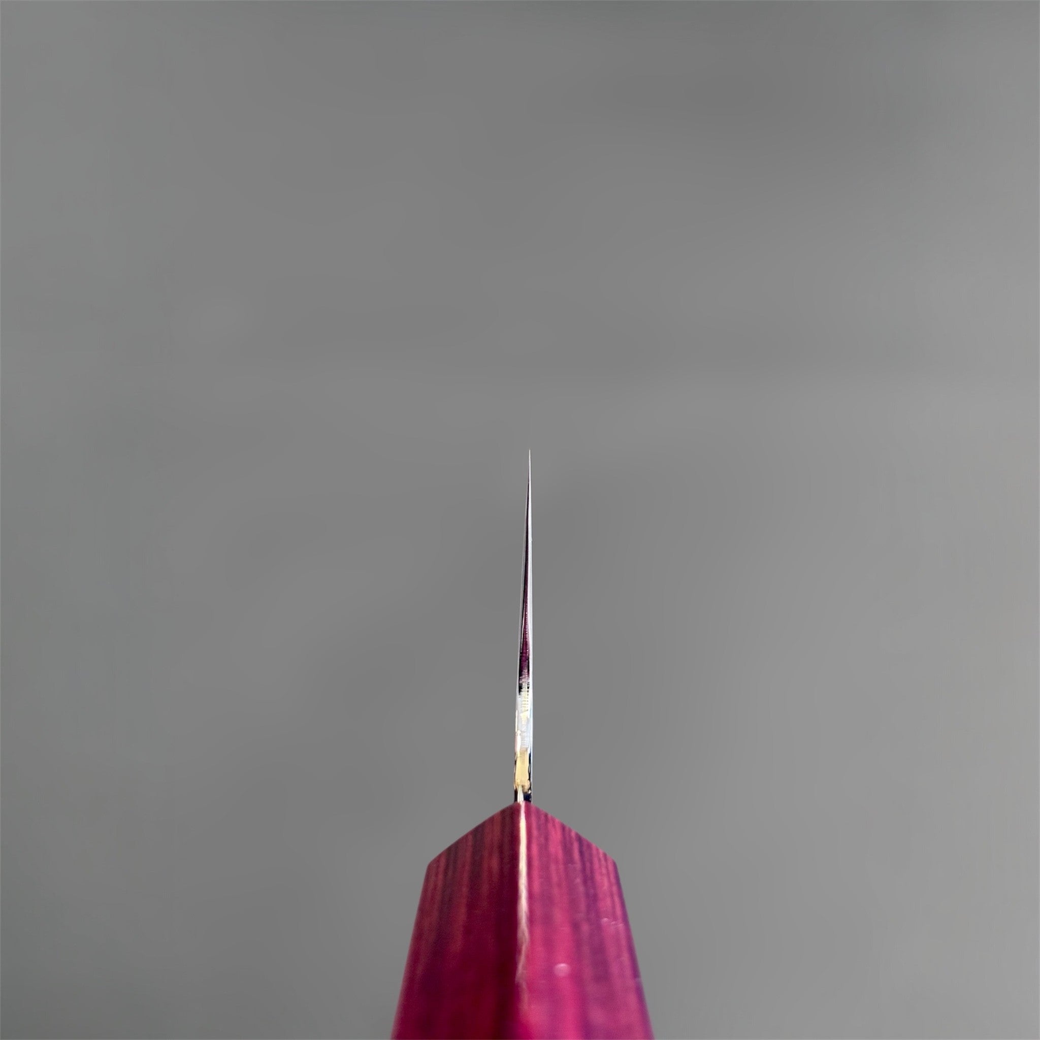 Kei Kobayashi SG2 Gyuto 240 mm with red lacquer handle, spine view close-up showing the extremely thin grind and precise taper toward the tip.