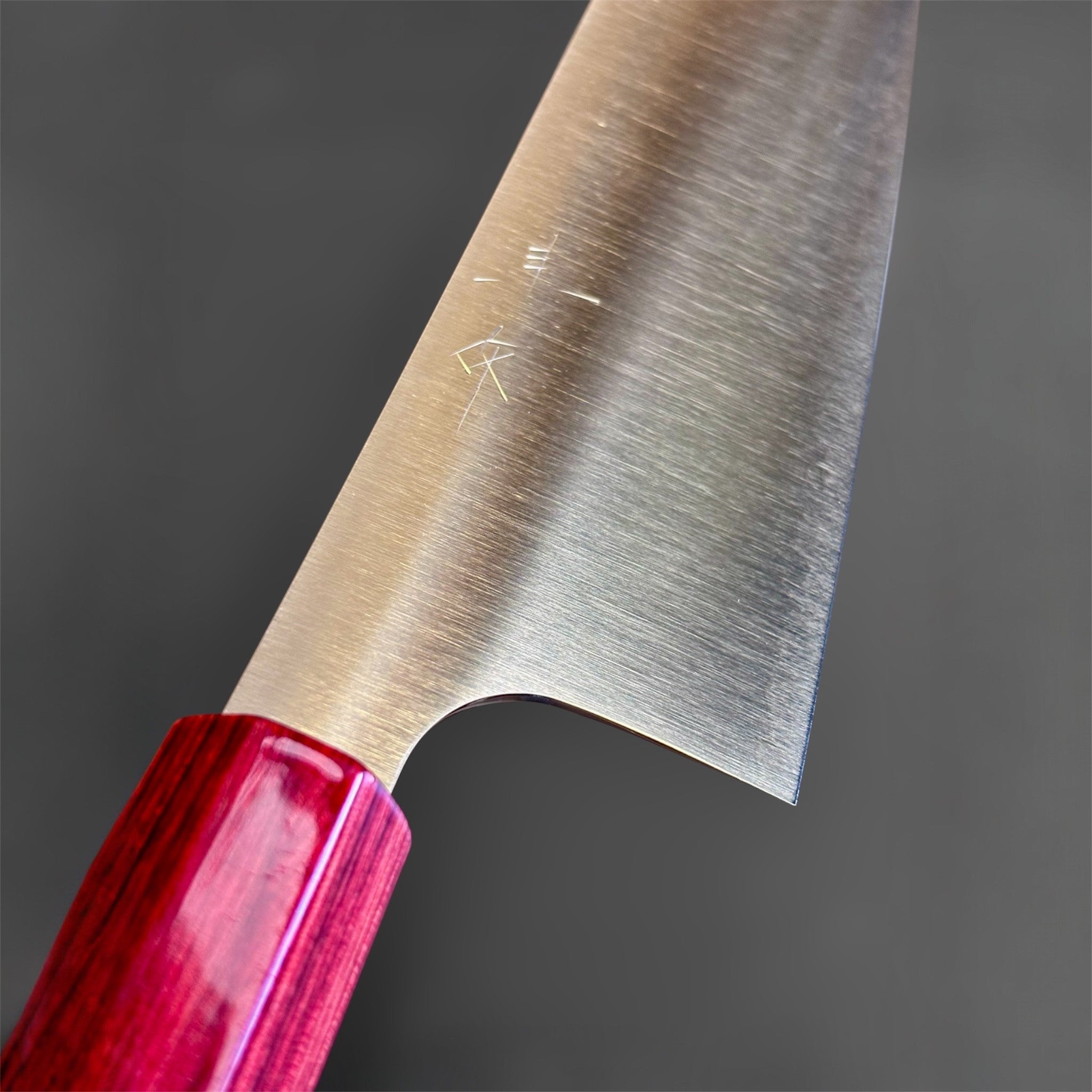 shi SG2 Gyuto 240 mm with red lacquer handle, spine view close-up showing the extremely thin grind and precise taper toward the tip.