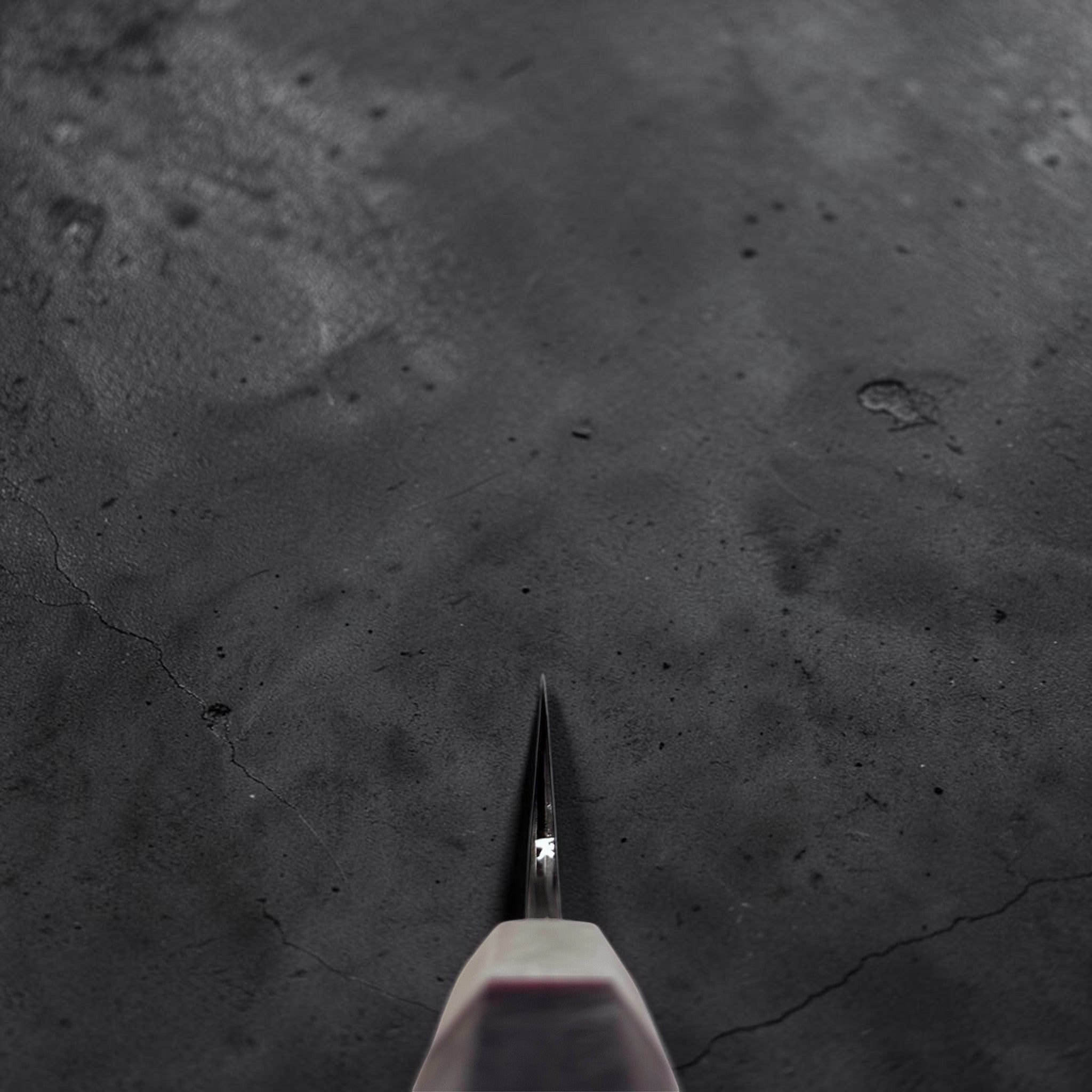 Manaka Aogami #1 KokuENN Sakimaru Sujihiki 300mm with Prisma Knife Handle