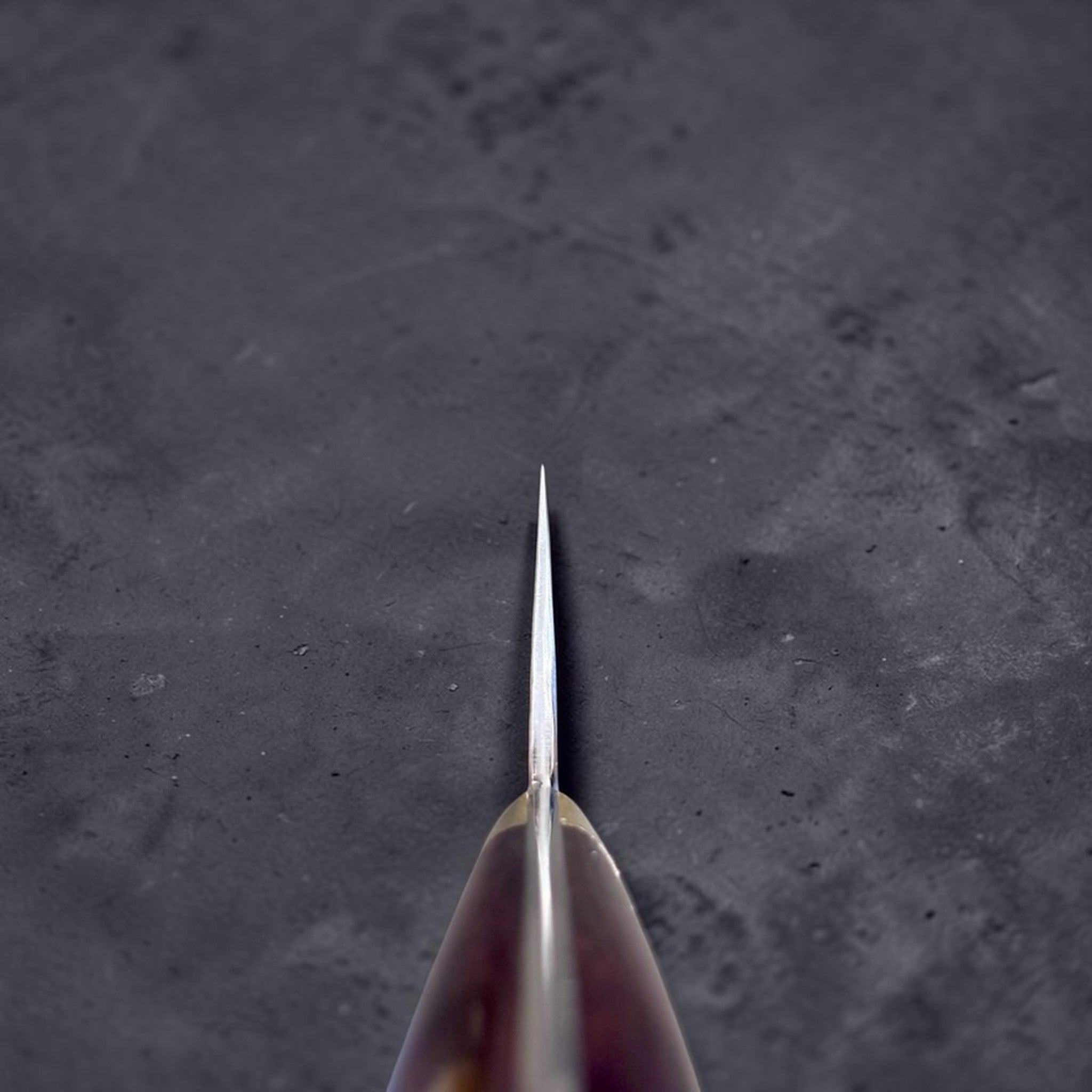 Masakage Zero Gyuto 210 mm, choil view showing thin blade geometry and dark western handle.