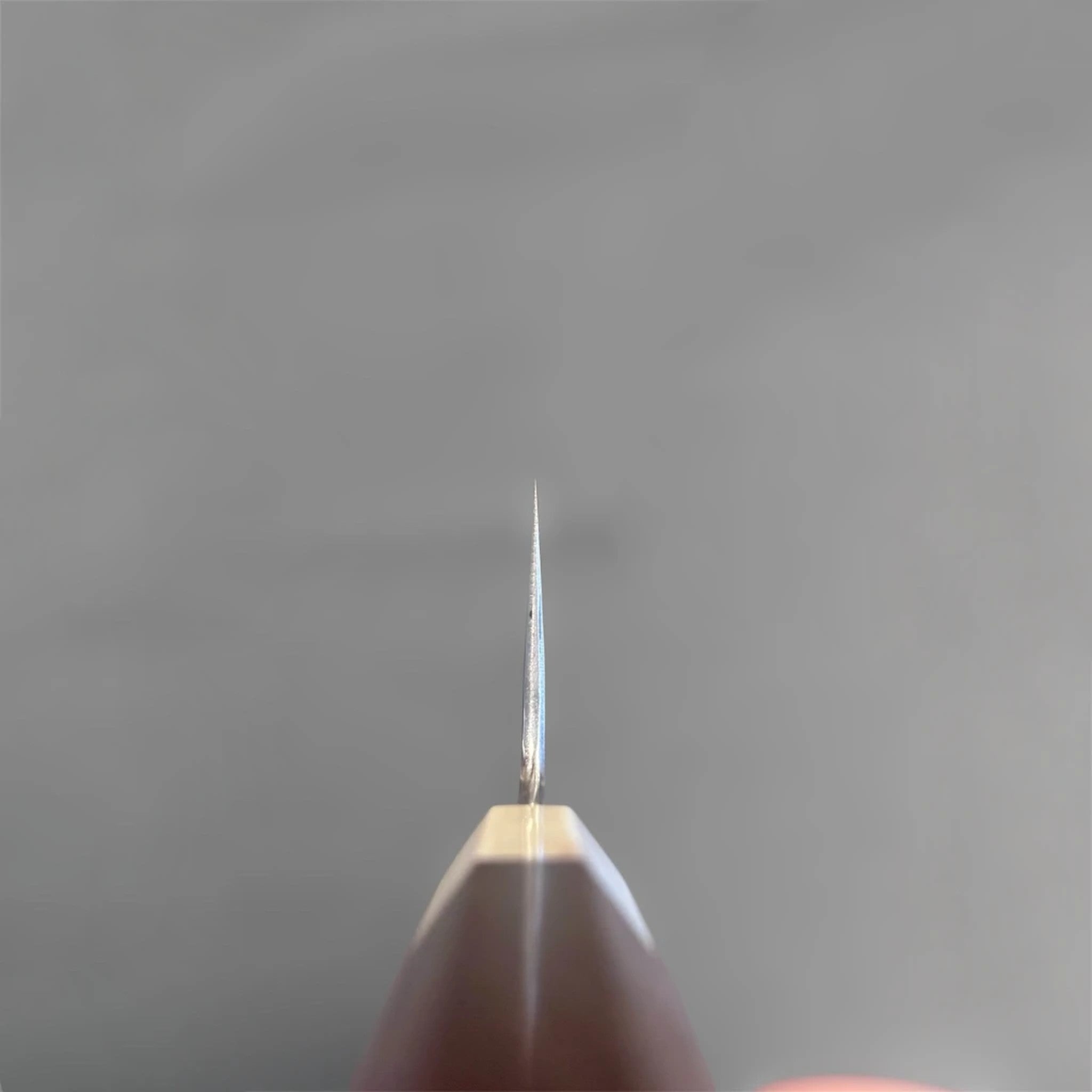 Nakagawa Satoshi Blue #1 Damascus Gyuto 225 mm choil shot.