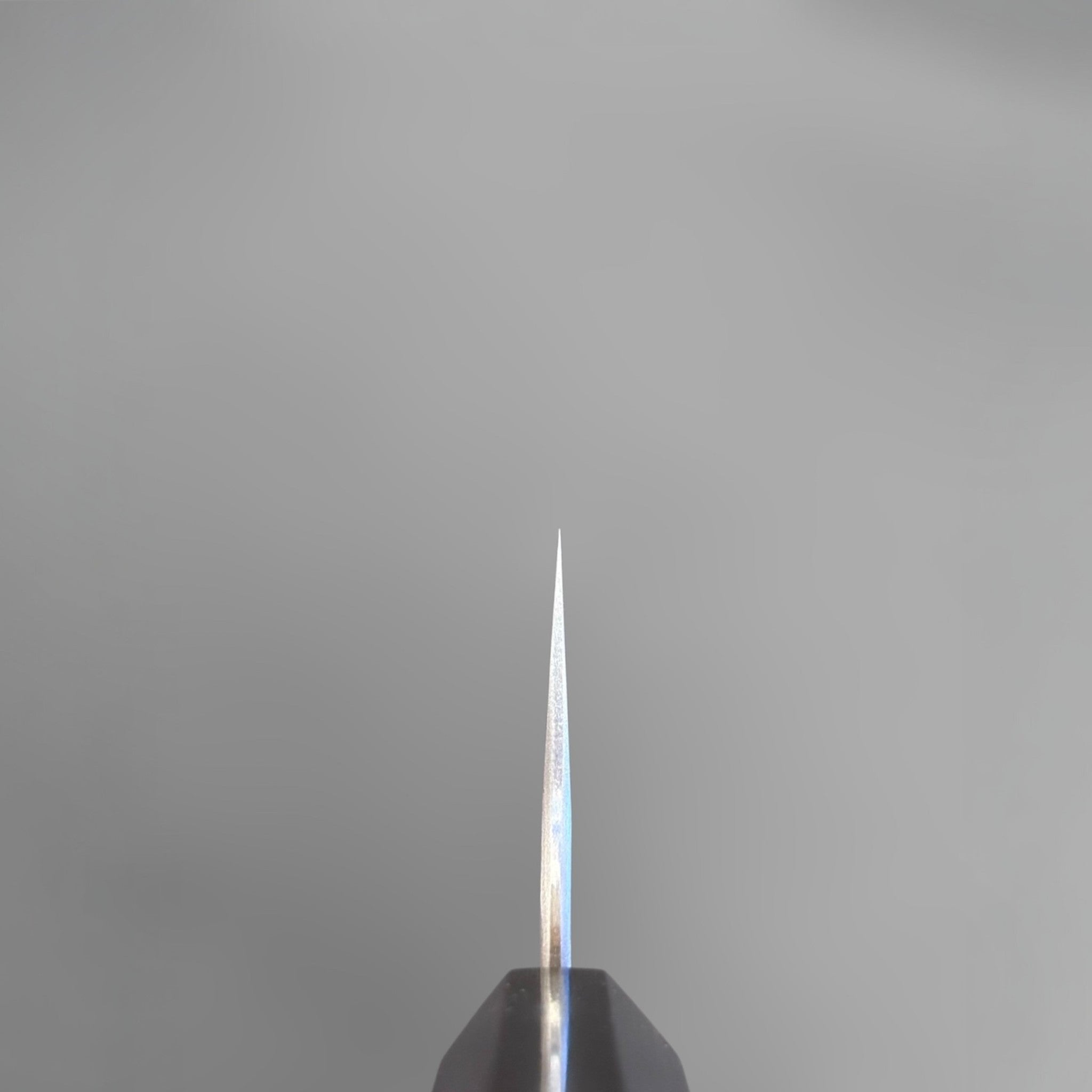 Nigara Aogami Super Steel Tsuchime Gyuto 240 mm with walnut and black horn handle, choil shot showing fine tip and blade thickness.