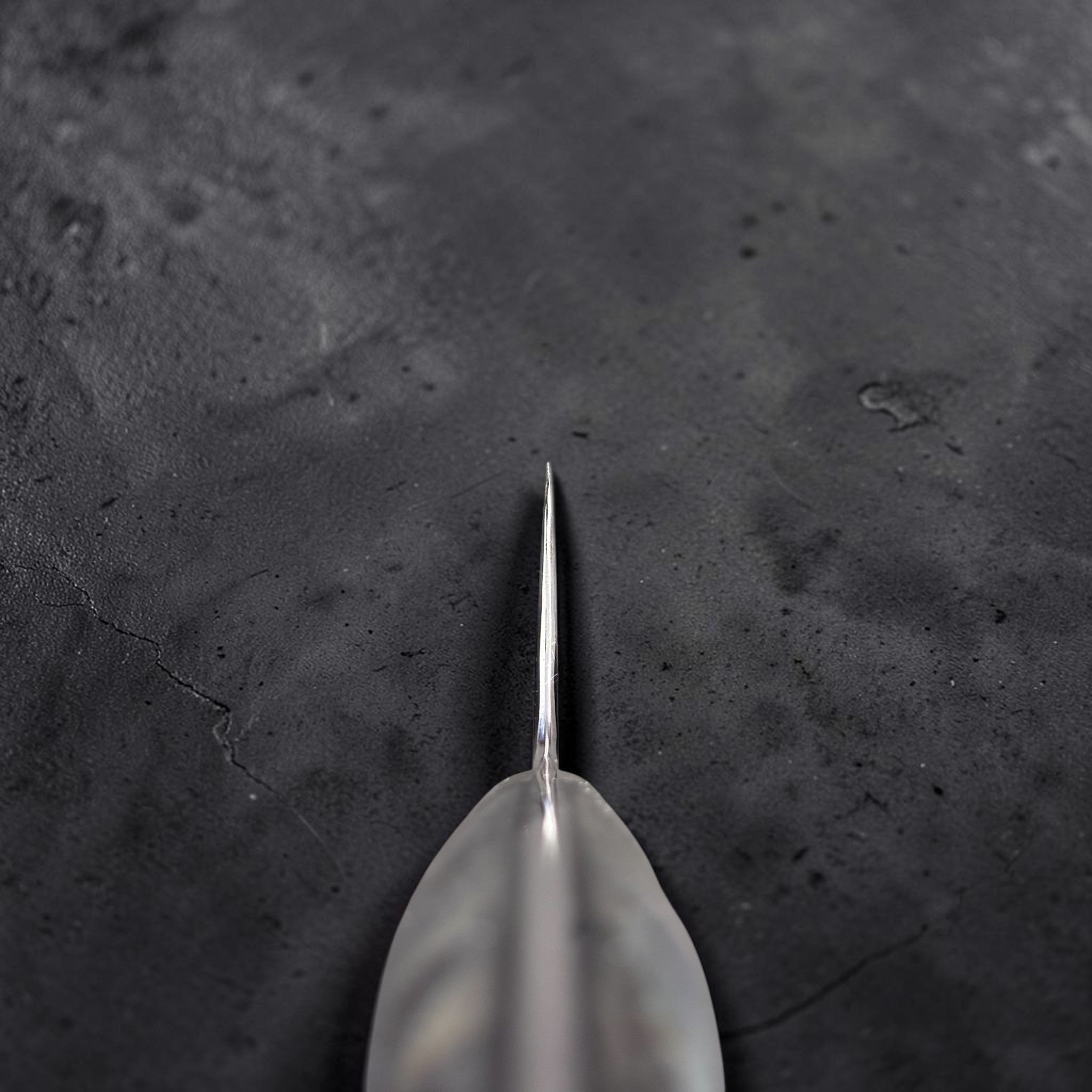 Spine view of the Nigara SG2 Kurouchi Tsuchime Gyuto 210 mm choil shot.