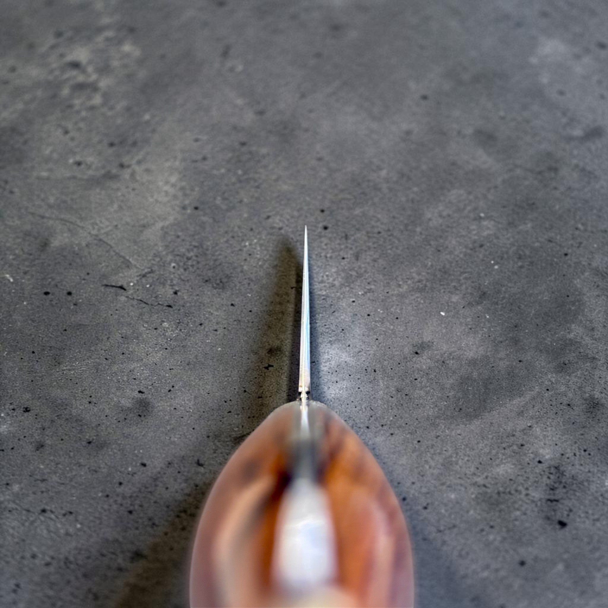 Nigara Hamono Anmon SG2 210 mm Gyuto with ironwood western handle, choil view showing thin edge geometry and ironwood handle.