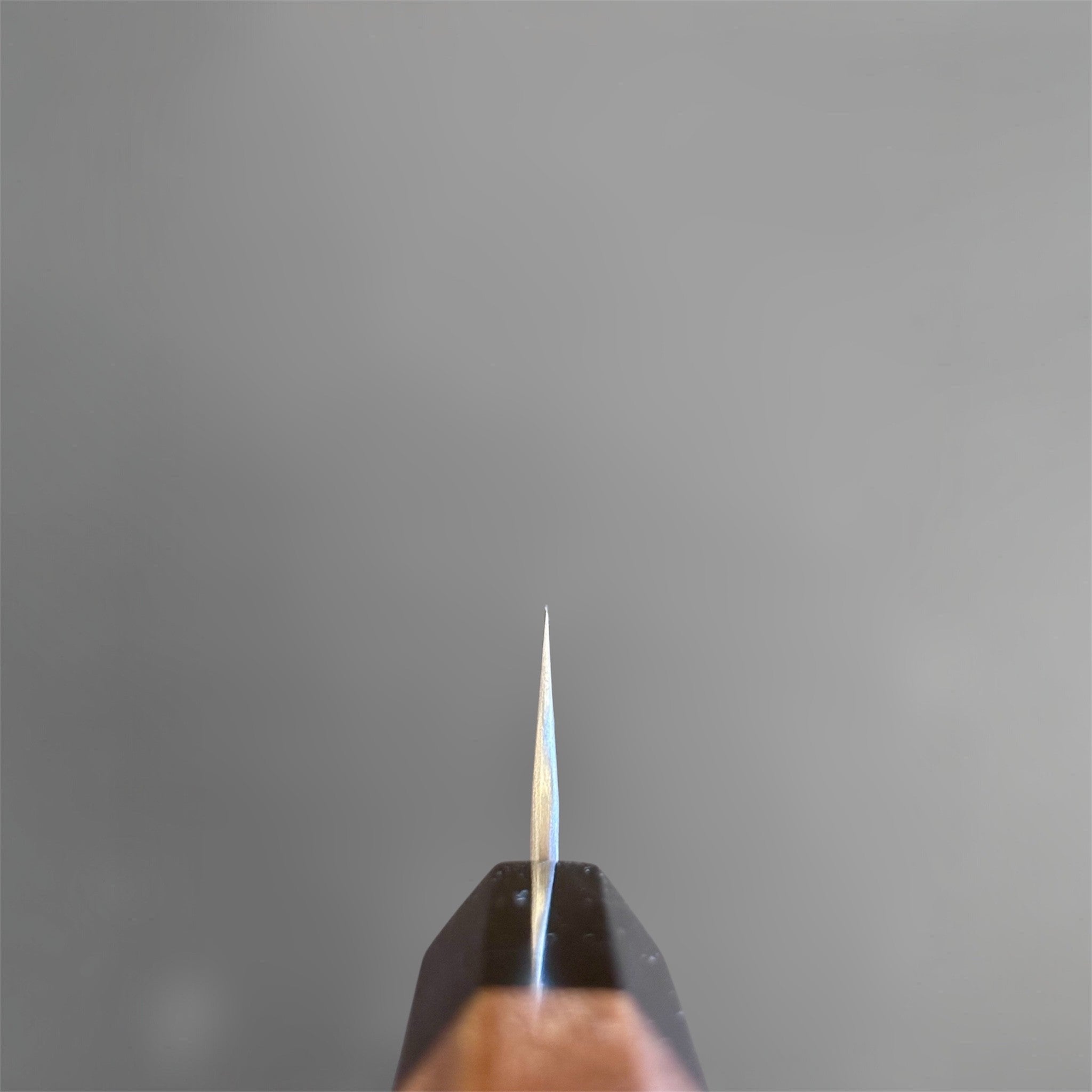 Nigara Hamono Aogami Super Tsuchime Petty 150 mm with walnut horn handle chiol shot.