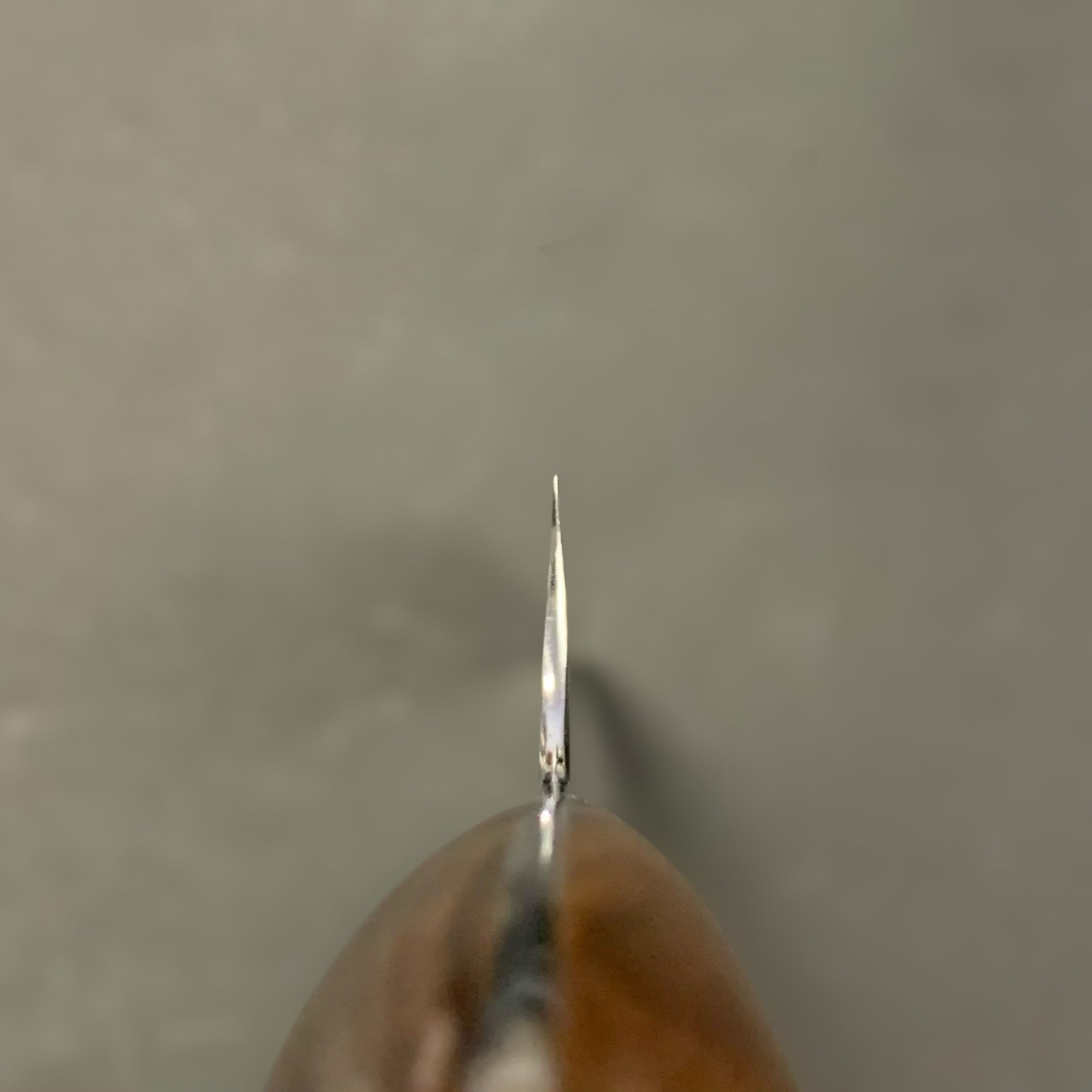 Nigara Hamono SG2 Kurouchi Tsuchime Sakimaru Sujihiki 270 mm, spine view near the handle showing the distal taper of the SG2 core.