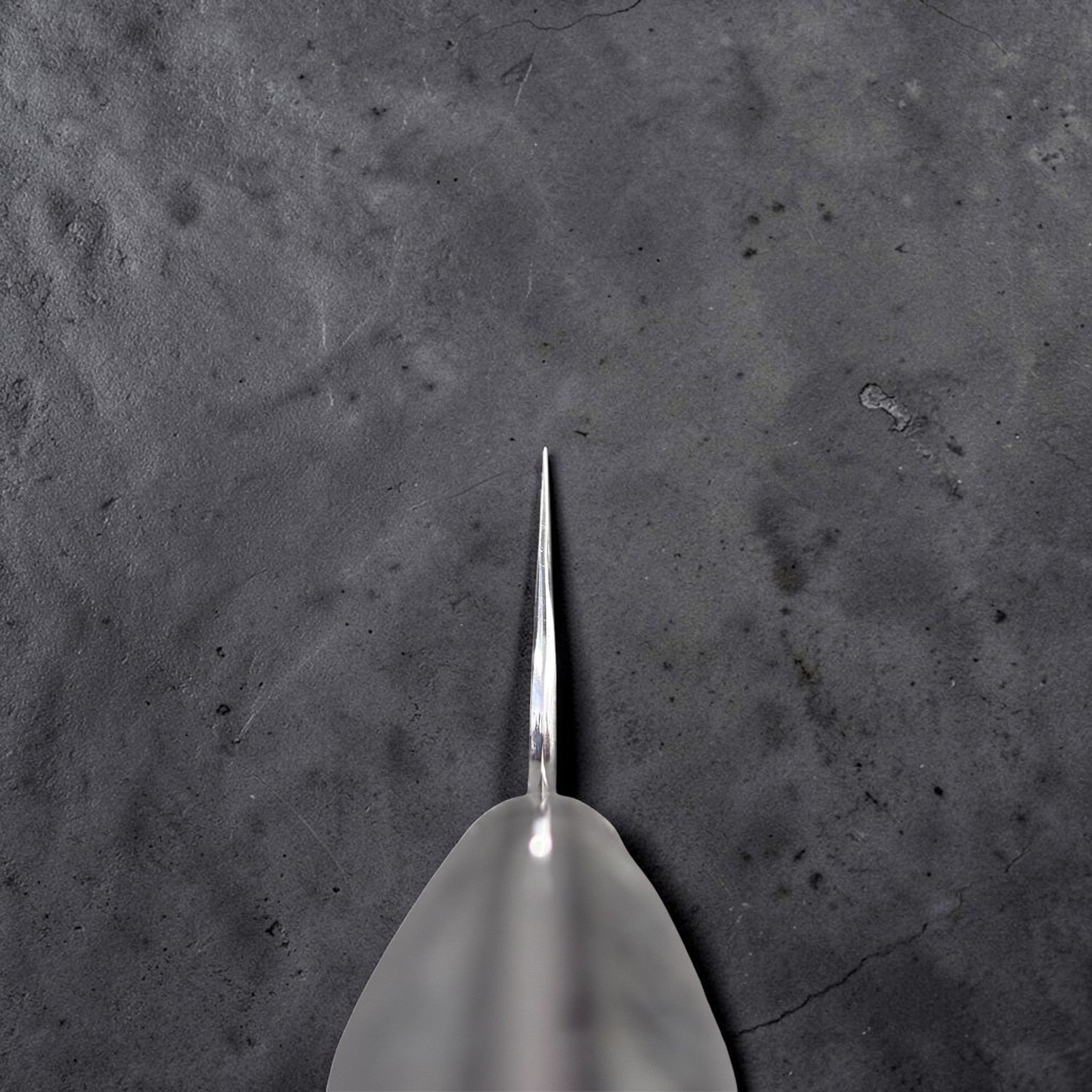 Nigara SG2 Kurouchi Tsuchime Kiritsuke 210 mm choil shot.