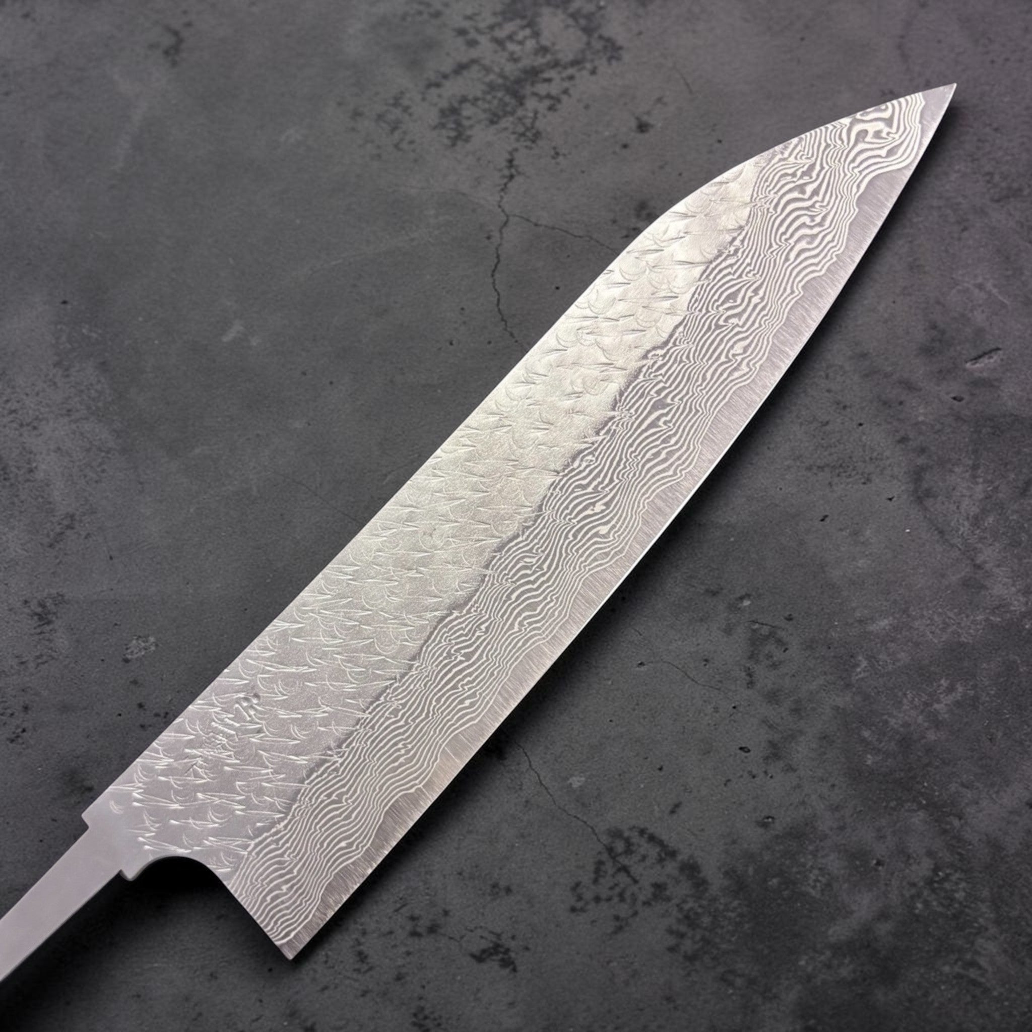Nigara SG-STRIX Gyuto SG2 210 mm, close-up of the Damascus ‘Strix’ pattern near the tip (no handle).