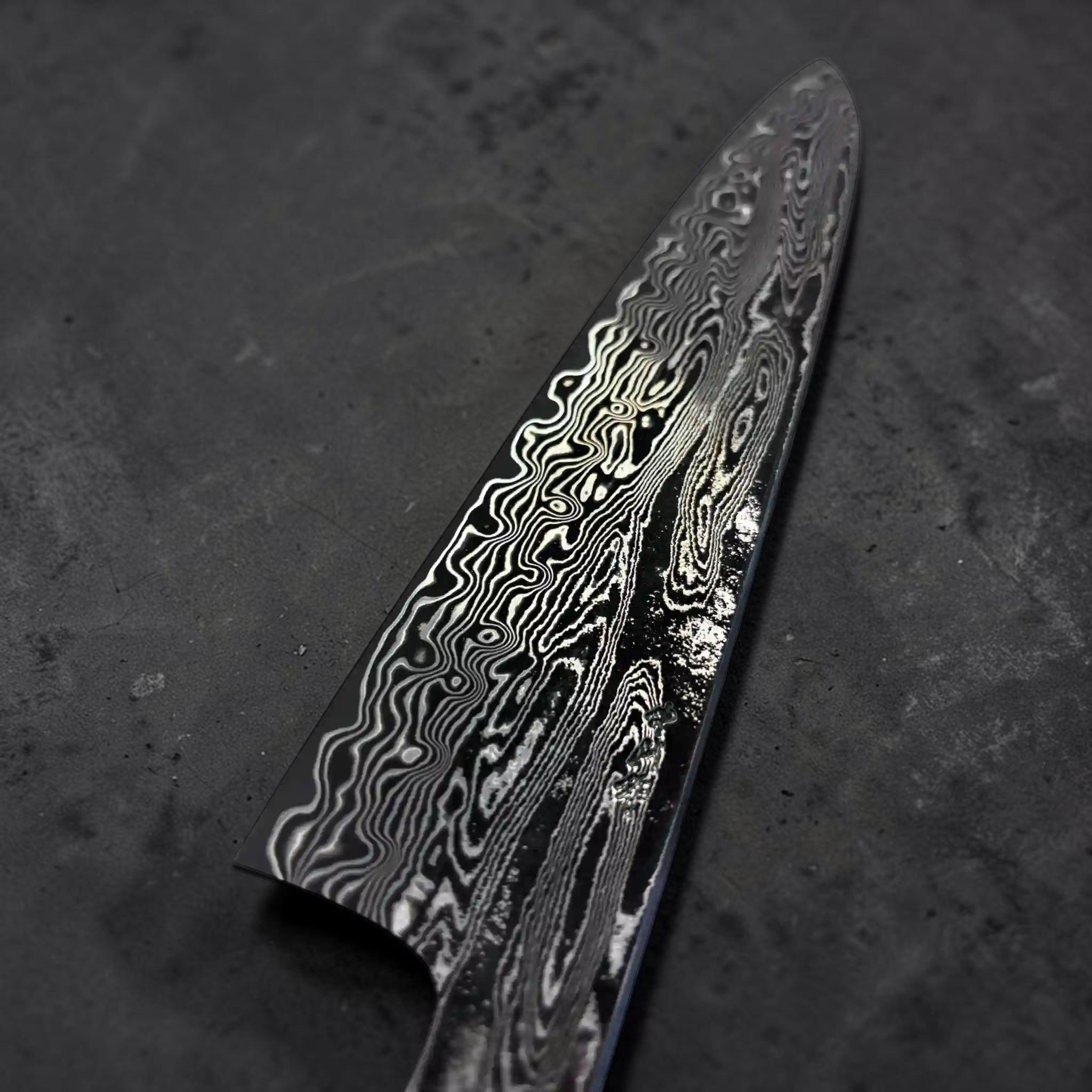 Nakagawa SPG STRIX Gyuto 210 mm Blade | Tokushu Knife