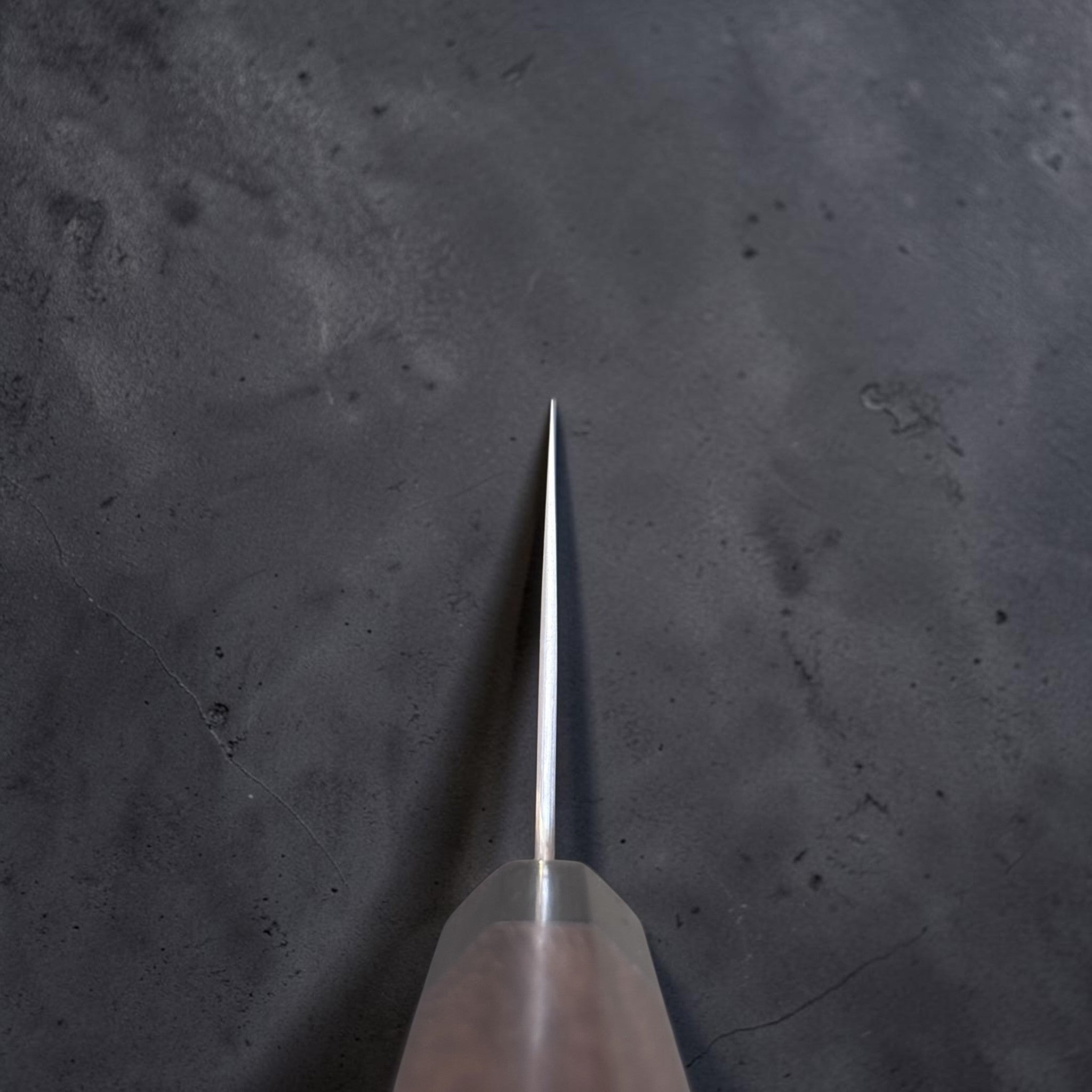 Shibata Koutetsu Chromax Boss Nakiri, choil view showing the blade grind, spine thickness, and octagonal wa handle.