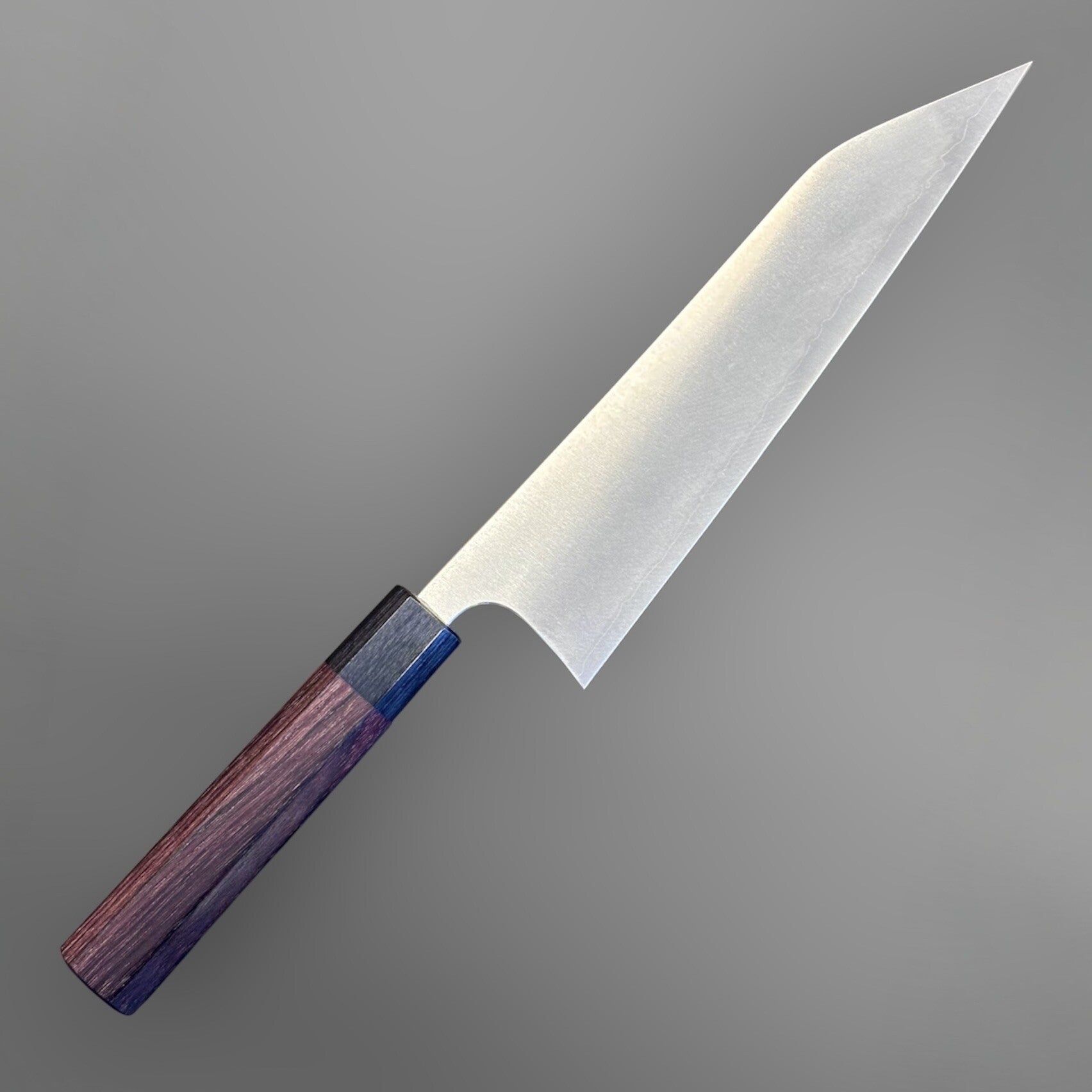 Shibata Koutetsu Chromax Gyuto 210 mm with rosewood octagon handle, reverse angled view with blade tip and handle detail.