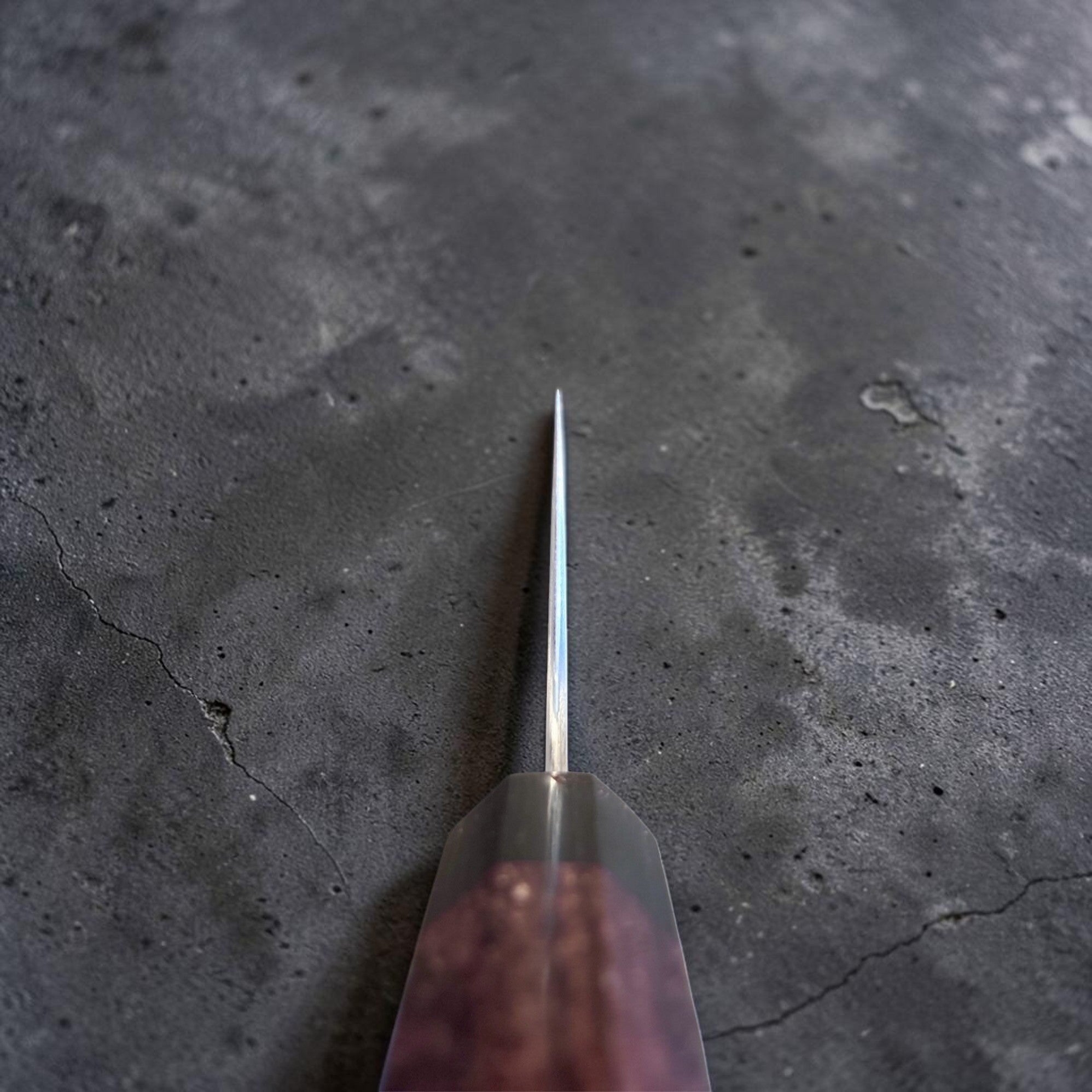 Shibata Koutetsu Chromax Gyuto 210 mm, choil view showing thin grind and rosewood octagon handle.