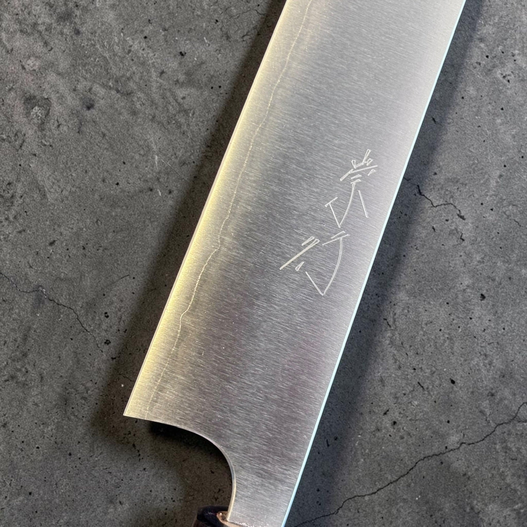 Shibata Koutetsu Chromax Sujihiki 240 mm, close-up of blade face with kanji engraving and fine satin finish.