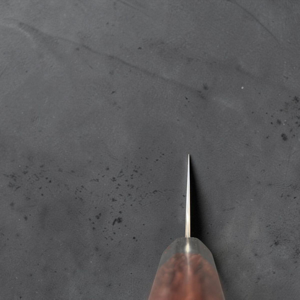 Shibata Koutetsu SG2 210mm gyuto, choil view showing the blade geometry