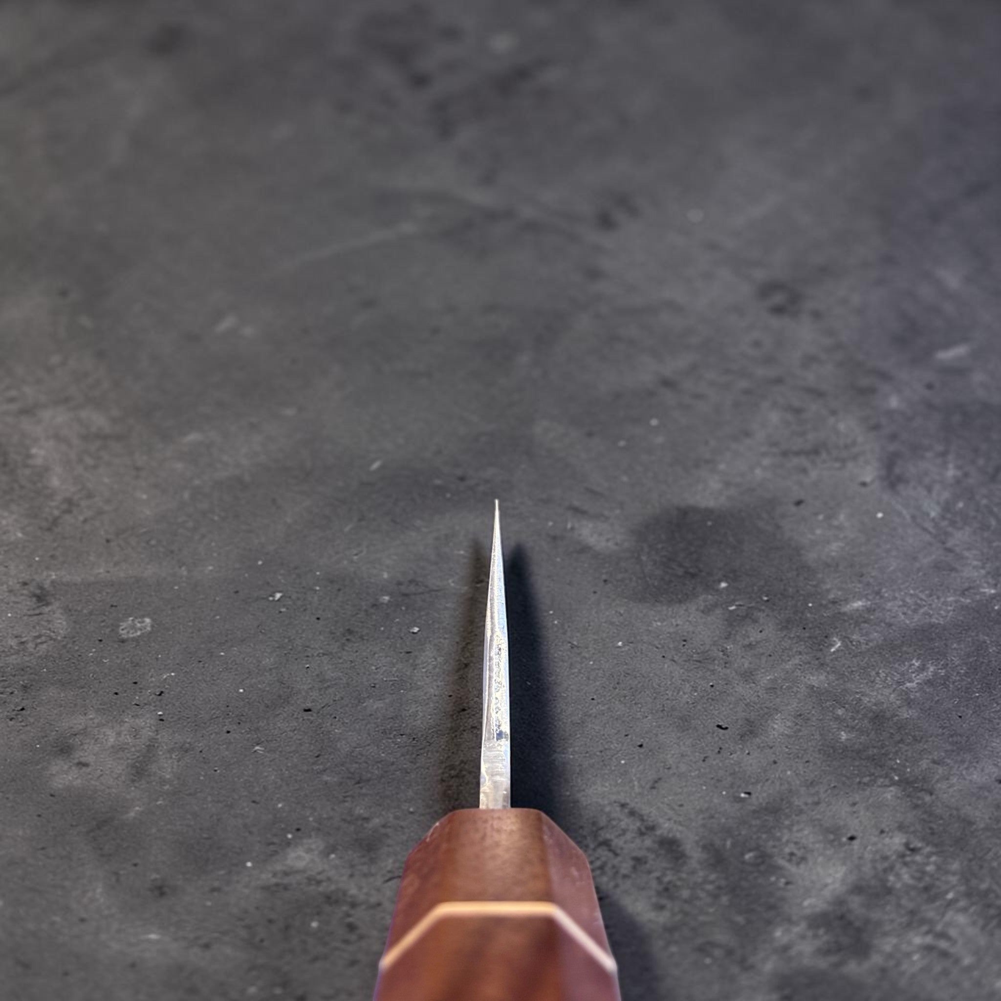 Shigeki Tanaka Stainless-Clad Blue #2 Kurouchi Kiritsuke 210 mm, choil view showing blade geometry and Sanjo walnut handle.
