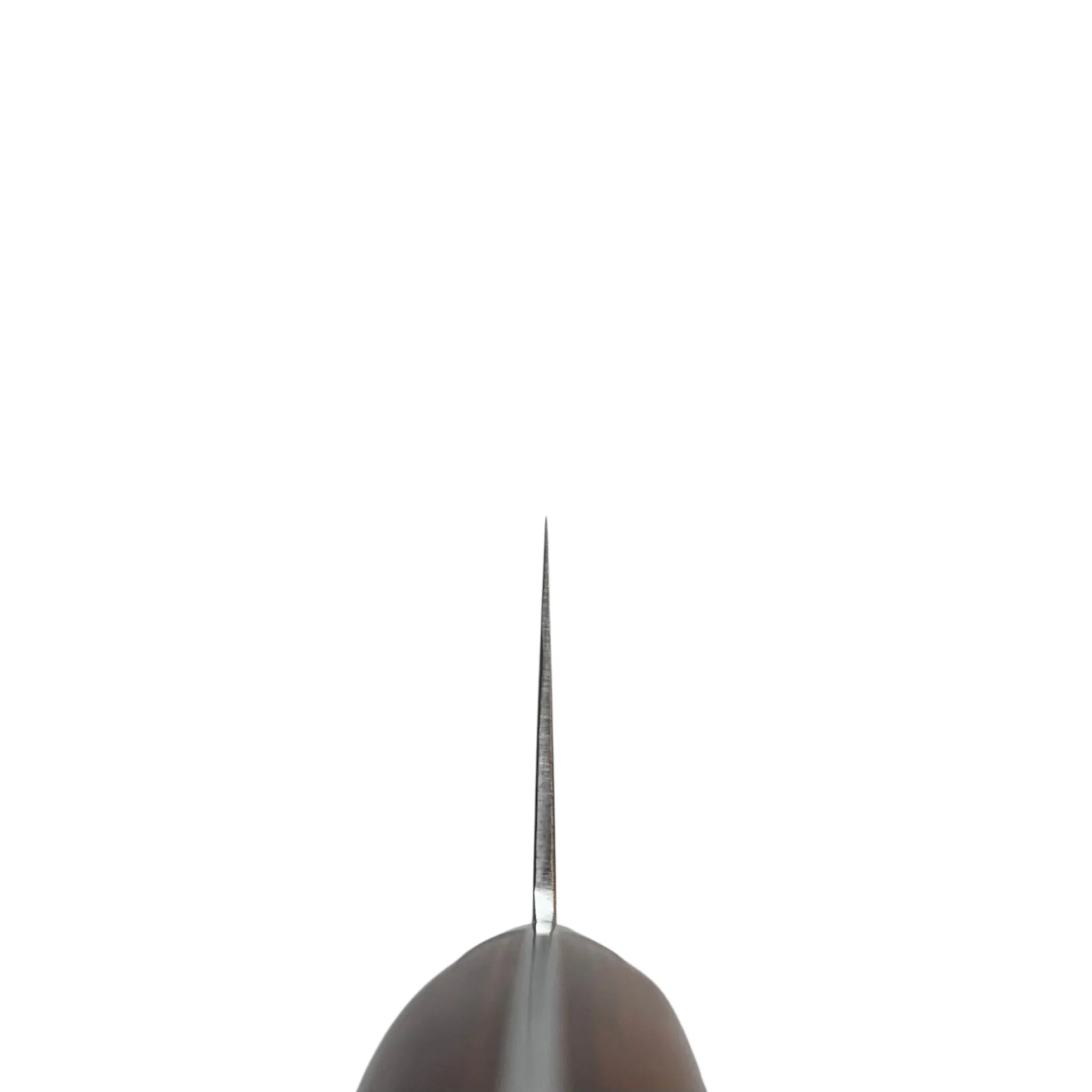 Suncraft Senzo Clad Gyuto 240 mm knife Choil Shot