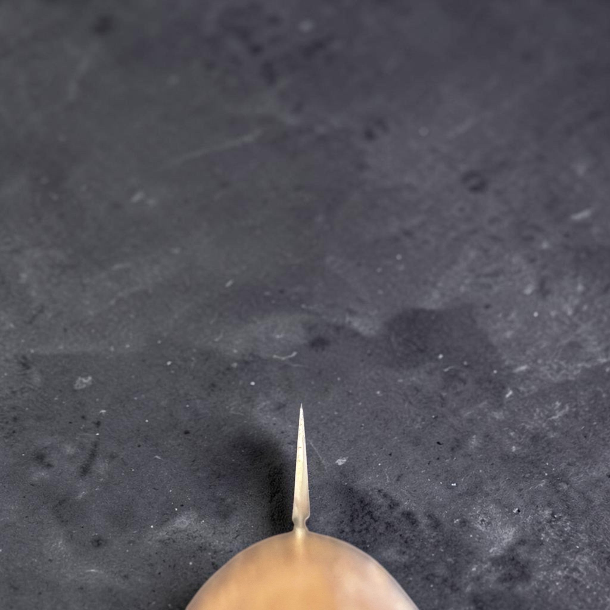 Tadafusa SLD Bread Knife with light wood handle, choil view showing thin blade geometry.