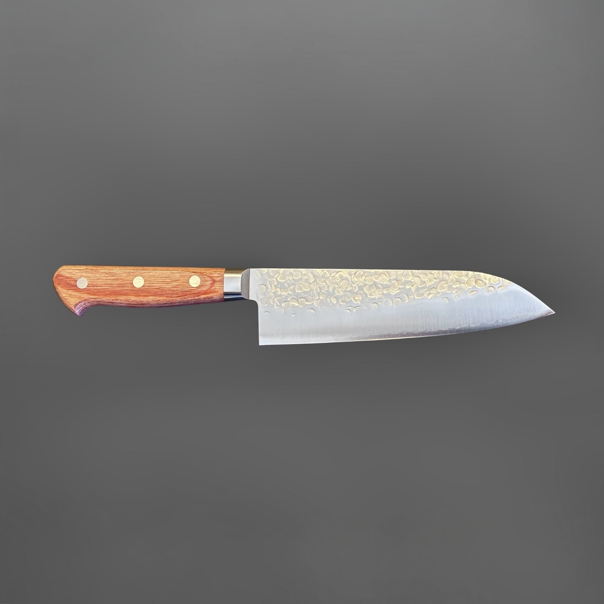 Takamura Chromax Santoku 170 mm, right-facing profile showing the hammered blade and reddish-brown handle.