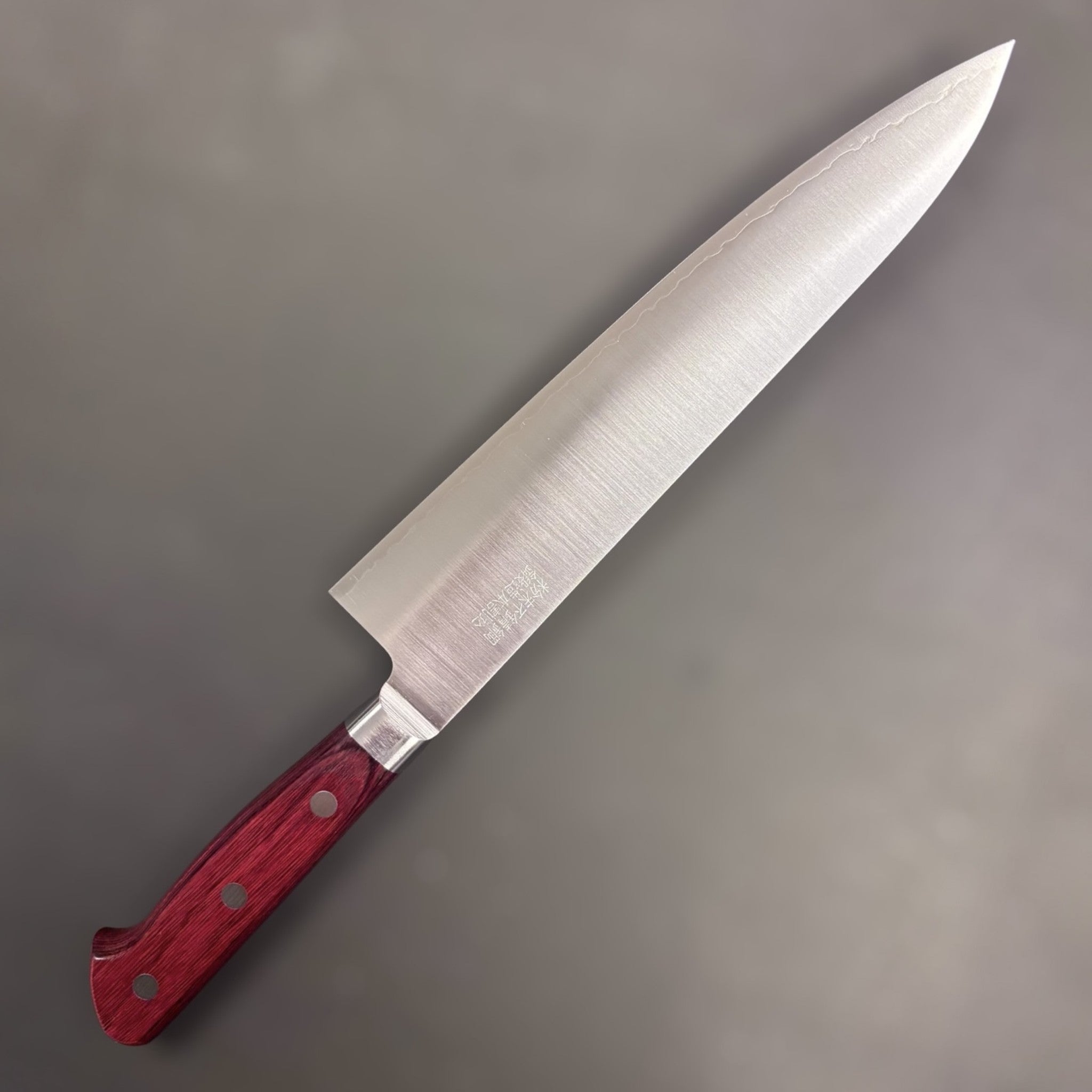 Takamura SG2 Gyuto 210mm, left blade face with kanji on neutral background.