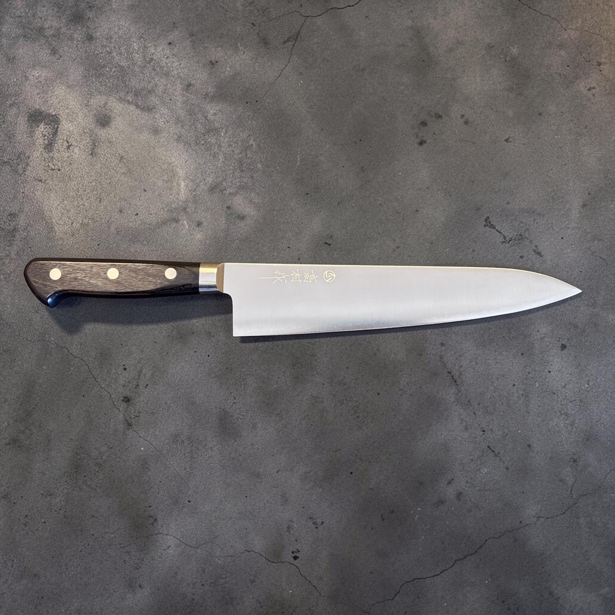 Takamura VG-10 Migaki Gyuto 210 mm with black western handle, full side profile showing the stainless migaki blade.