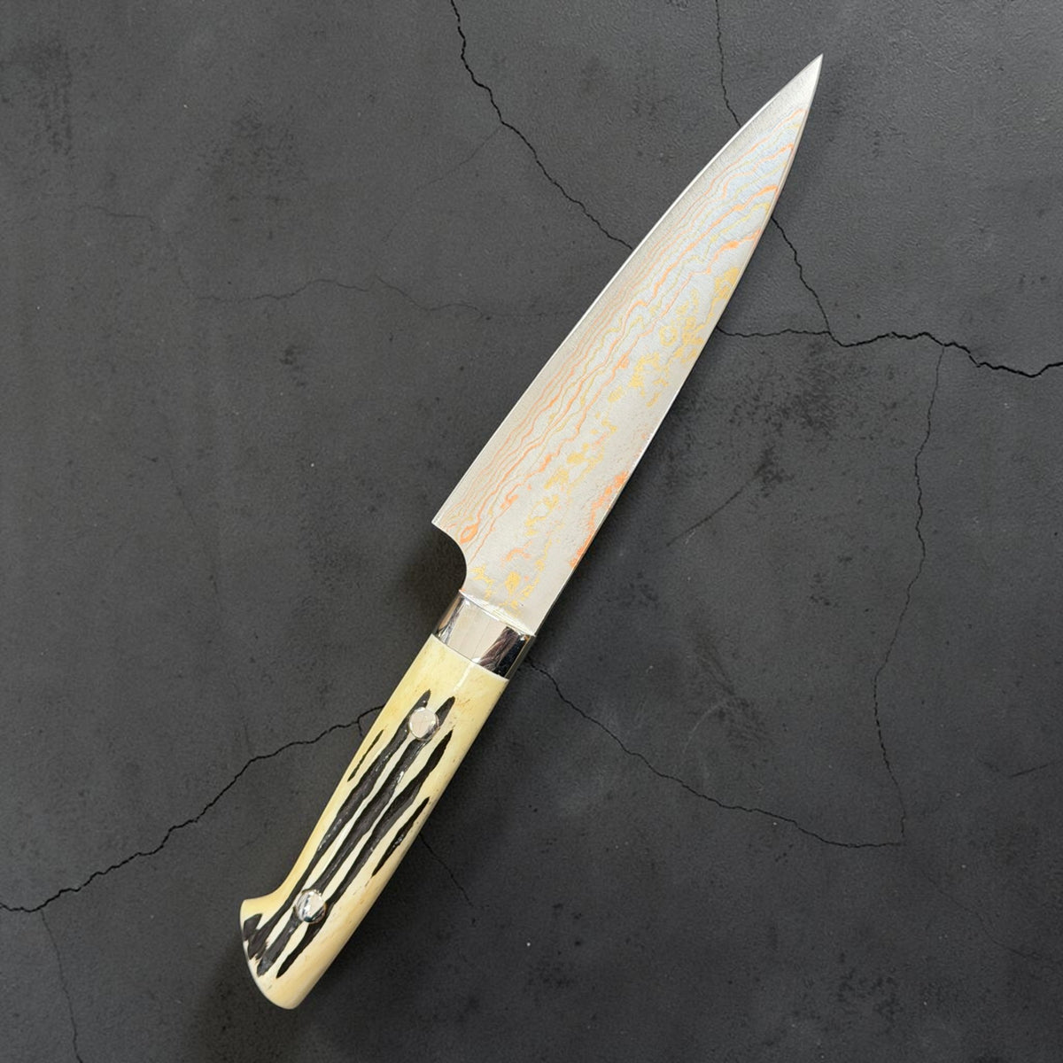 Reverse angle of Takeshi Saji Blue #2 Rainbow Damascus Petty 130mm with white cow-horn western handle.