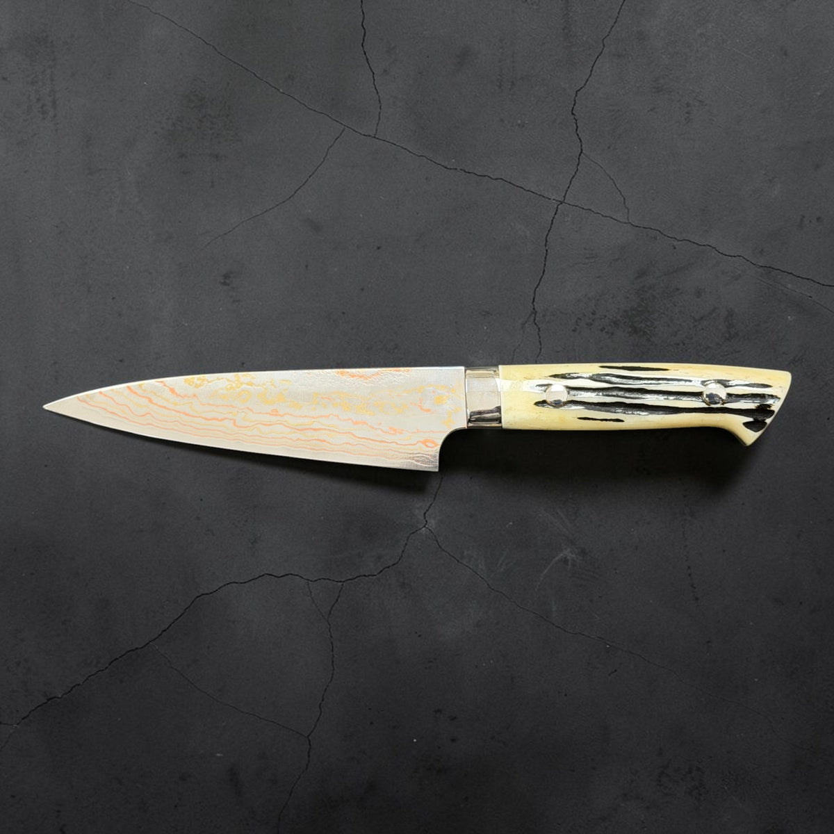 Reverse profile of Takeshi Saji Blue #2 Rainbow Damascus Petty 130mm with white cow-horn western handle.