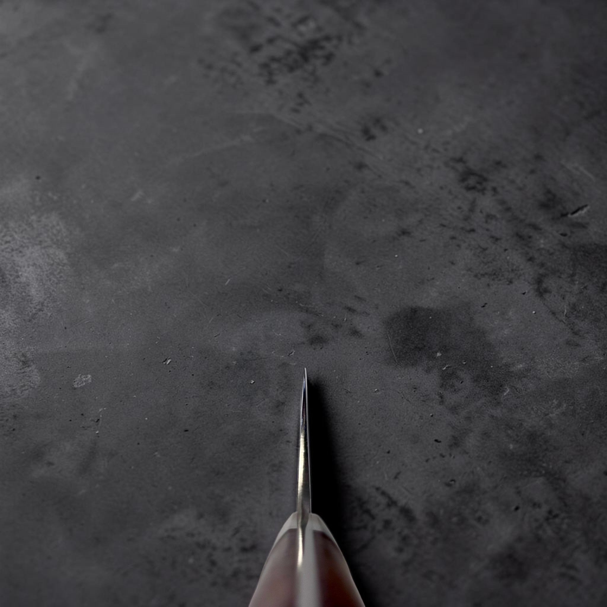 Takeshi Saji SRS-13 Gyuto 180 mm, ironwood Western handle – choil shot.