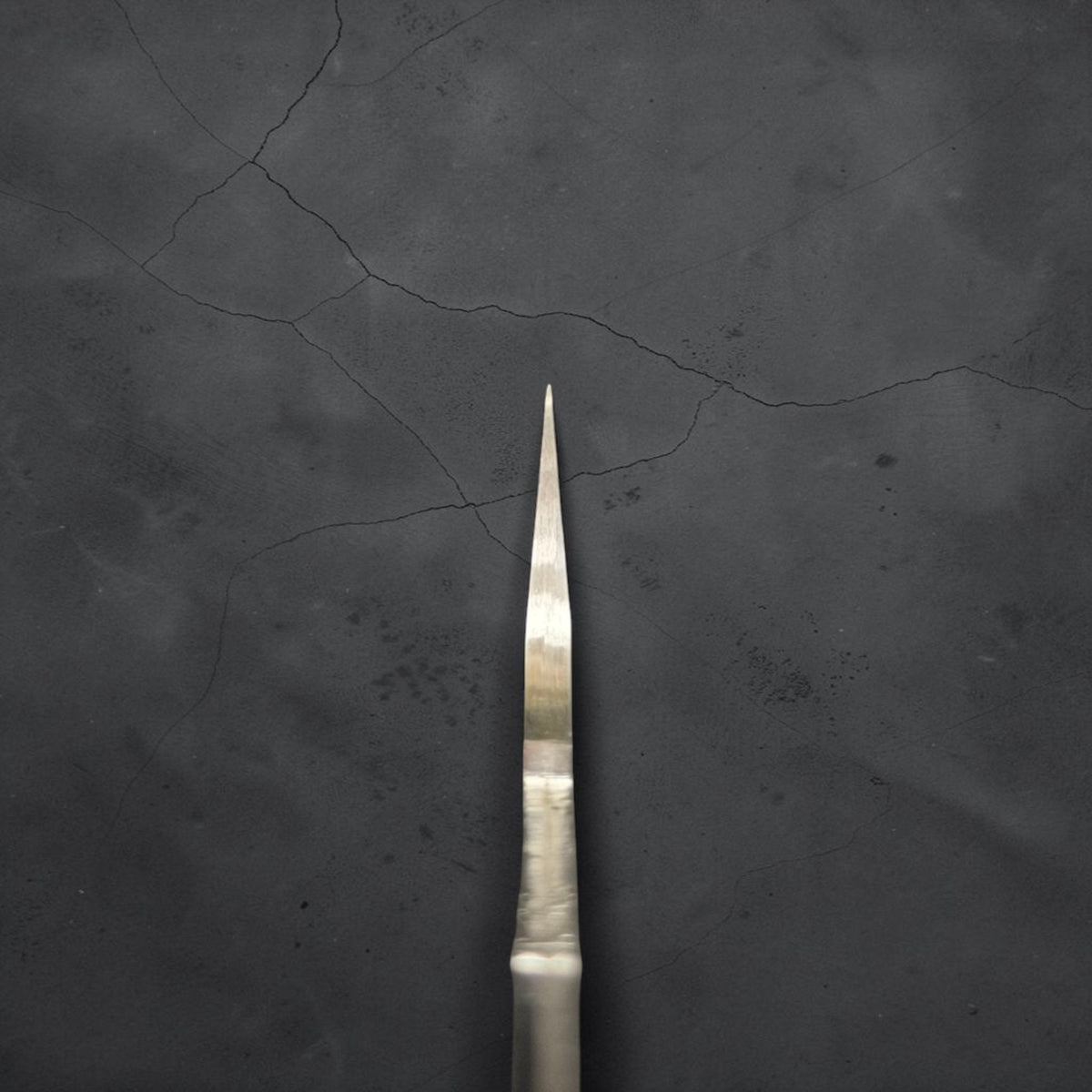 Choil view of Takeshi Saji STRIX Tsuchime Petty 130mm blade only, showing the blade cross-section and grind.