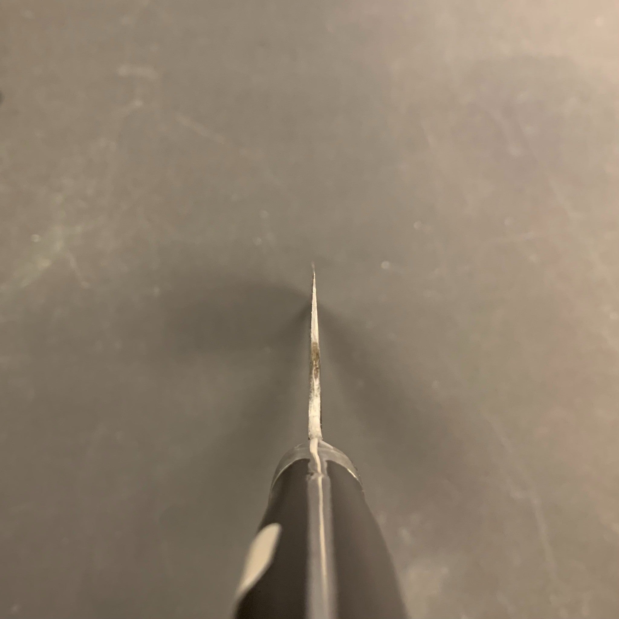 Teruyasu Fujiwara Denka Aogami Super Gyuto 195mm, choil shot showing thin grind and balance of the Western handle.