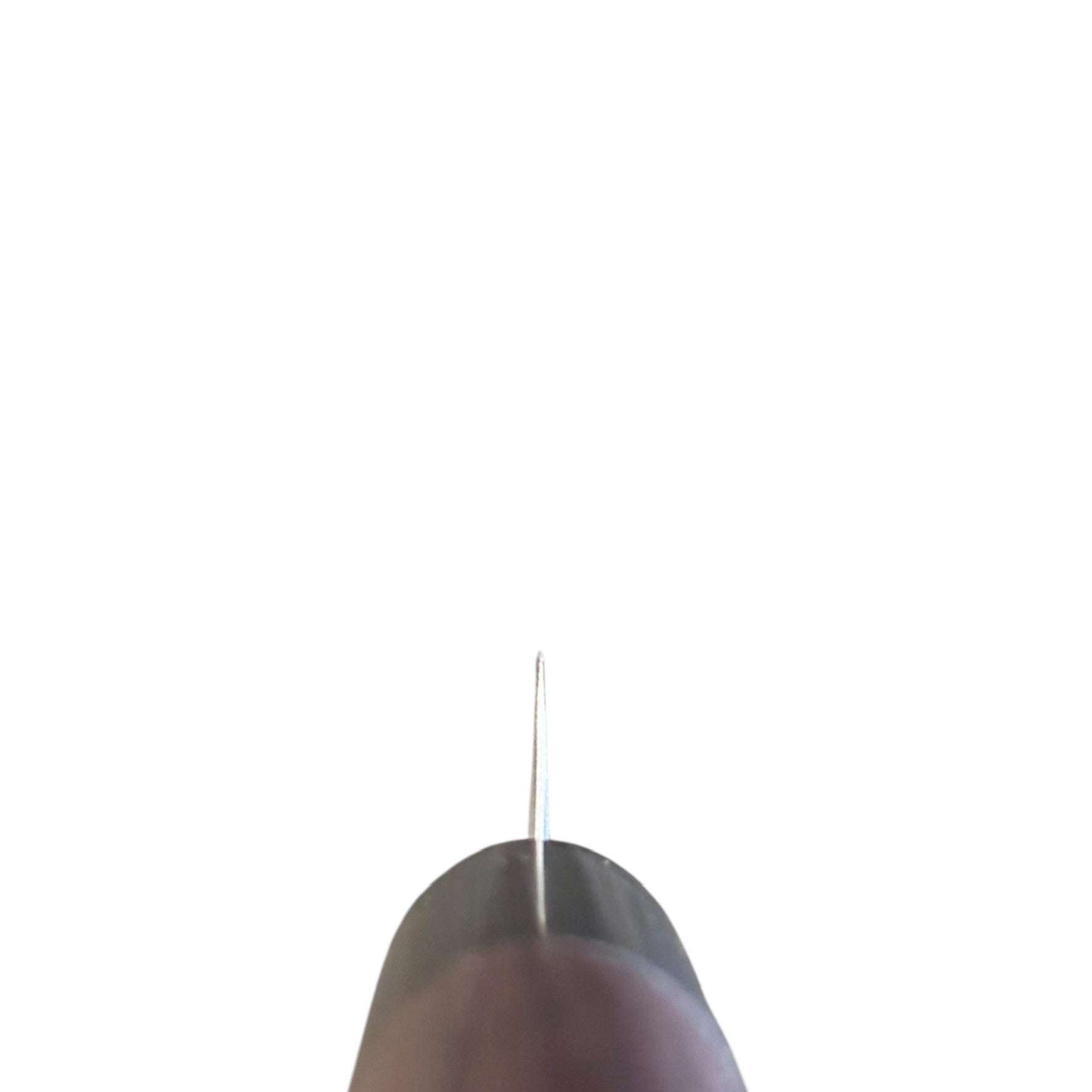 Tokushu Knife Stainless Clad Aogami Super Migaki Petty 80mm, choil view showing thin grind and pointed petty profile.